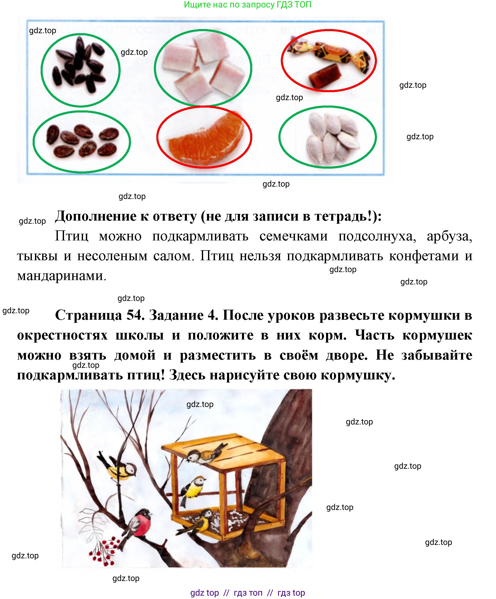 Окружающий мир, 1 класс рабочая тетрадь, автор: Плешаков Андрей Анатольевич, издательство Просвещение, Москва, 2023, белого цвета, Часть 1, страница 52, Решение 2 (продолжение 4)