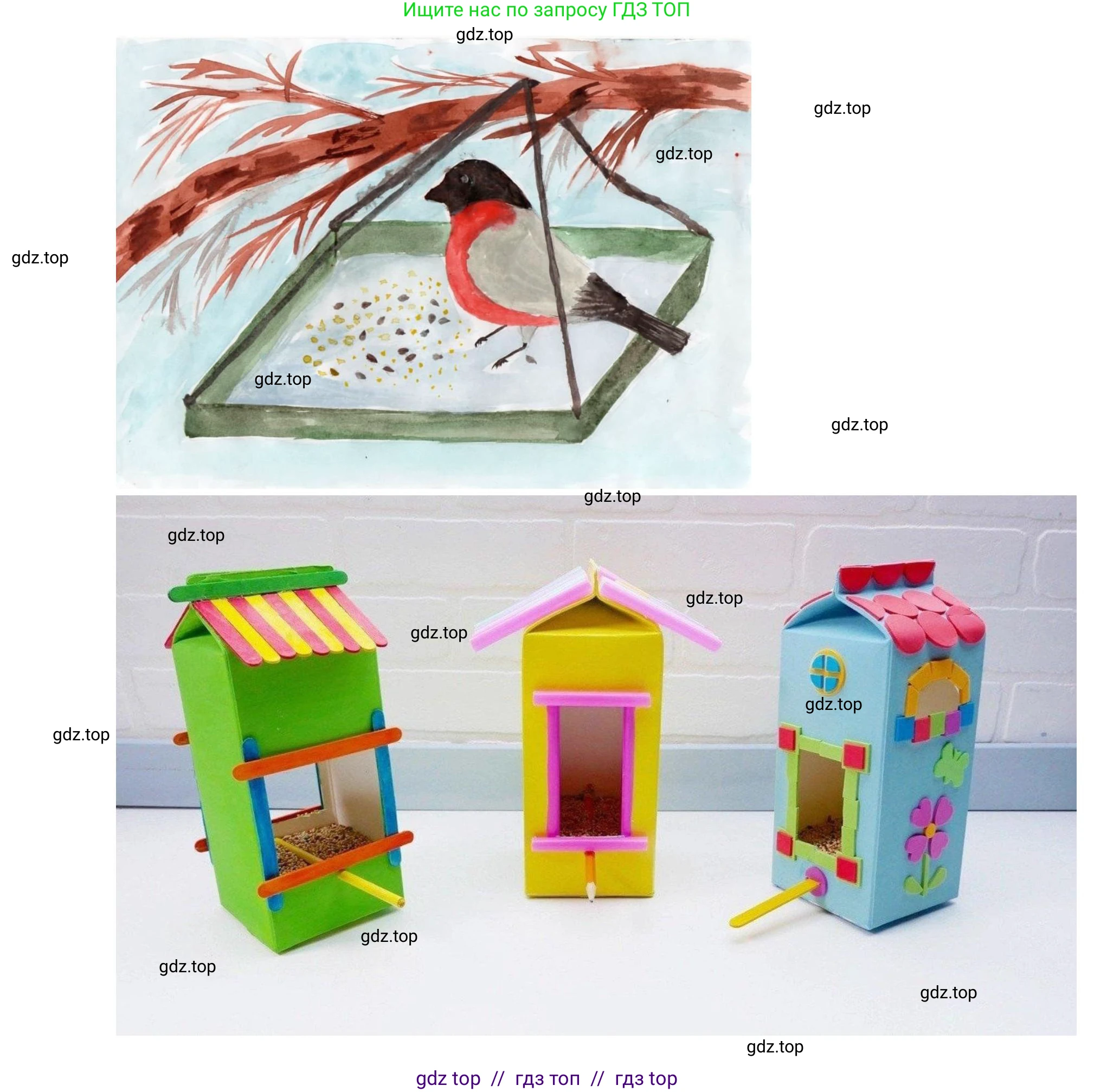 Окружающий мир, 1 класс рабочая тетрадь, автор: Плешаков Андрей Анатольевич, издательство Просвещение, Москва, 2023, белого цвета, Часть 1, страница 52, Решение 2 (продолжение 5)