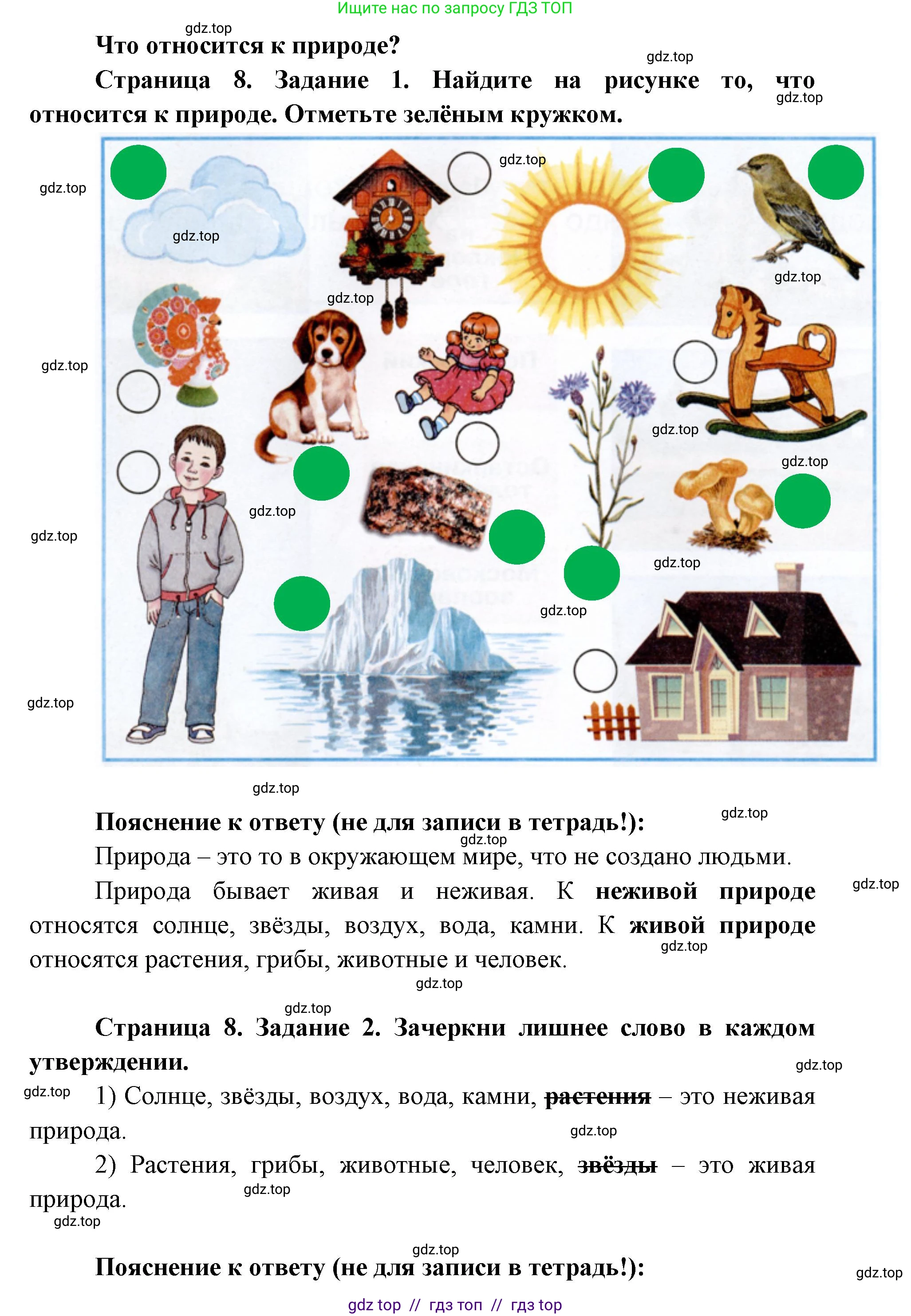 Окружающий мир, 1 класс рабочая тетрадь, автор: Плешаков Андрей Анатольевич, издательство Просвещение, Москва, 2023, белого цвета, Часть 1, страница 8, Решение 2