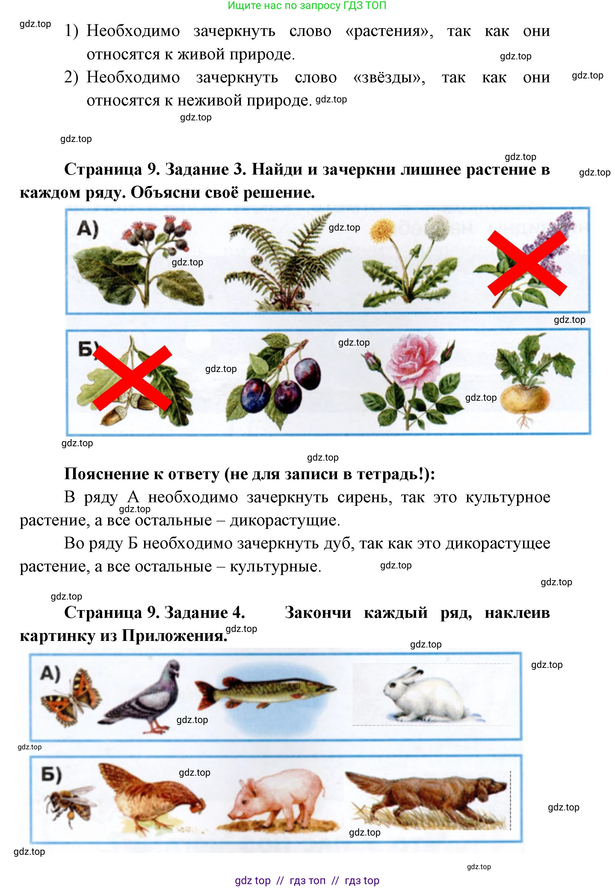 Окружающий мир, 1 класс рабочая тетрадь, автор: Плешаков Андрей Анатольевич, издательство Просвещение, Москва, 2023, белого цвета, Часть 1, страница 8, Решение 2 (продолжение 2)