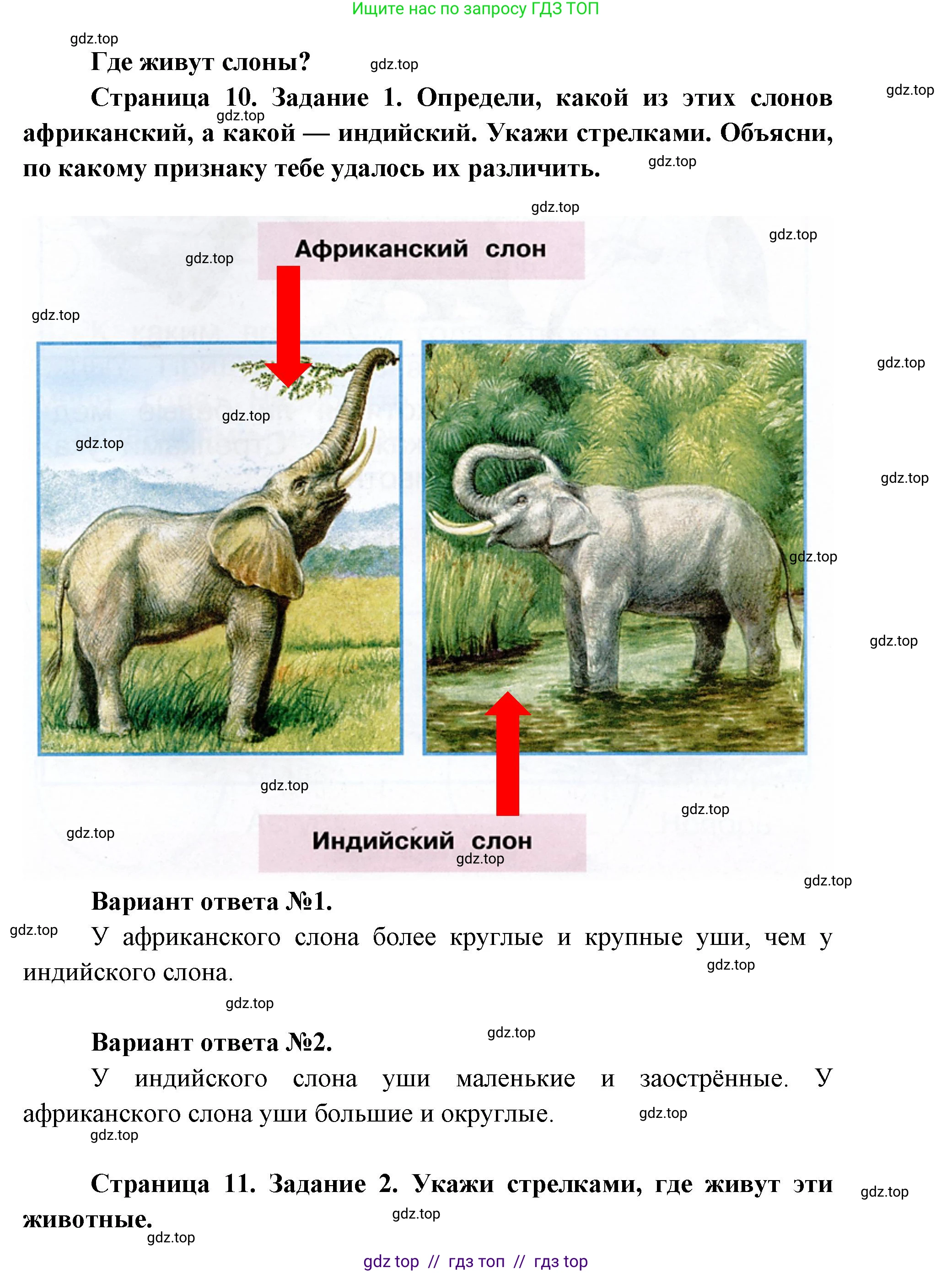 Окружающий мир, 1 класс рабочая тетрадь, автор: Плешаков Андрей Анатольевич, издательство Просвещение, Москва, 2023, белого цвета, Часть 2, страница 10, Решение 2