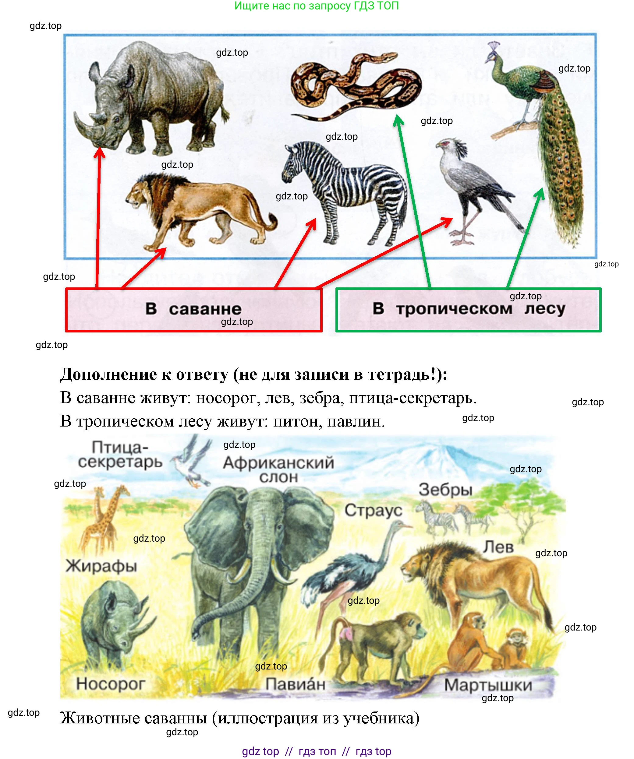 Окружающий мир, 1 класс рабочая тетрадь, автор: Плешаков Андрей Анатольевич, издательство Просвещение, Москва, 2023, белого цвета, Часть 2, страница 10, Решение 2 (продолжение 2)