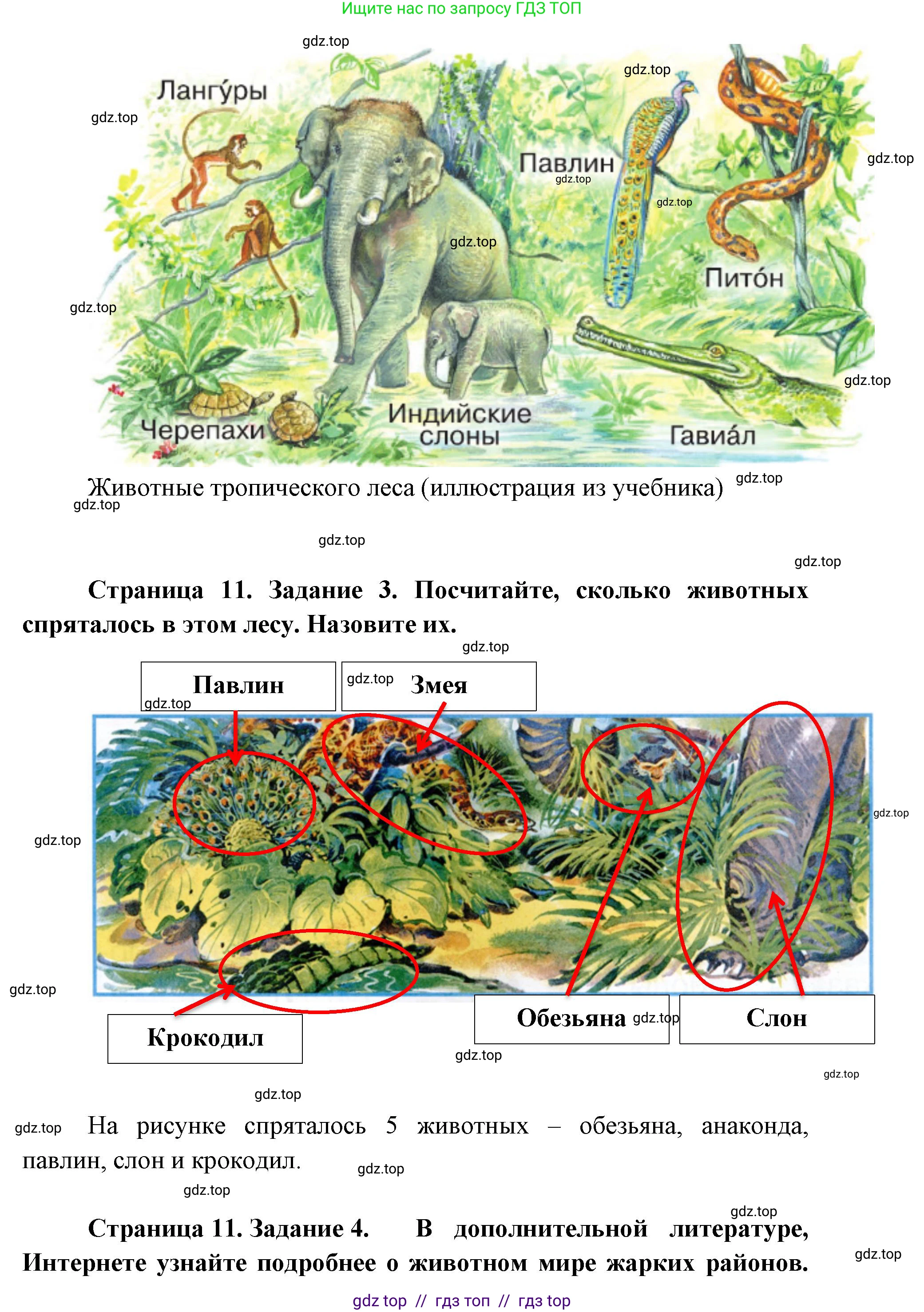 Окружающий мир, 1 класс рабочая тетрадь, автор: Плешаков Андрей Анатольевич, издательство Просвещение, Москва, 2023, белого цвета, Часть 2, страница 10, Решение 2 (продолжение 3)