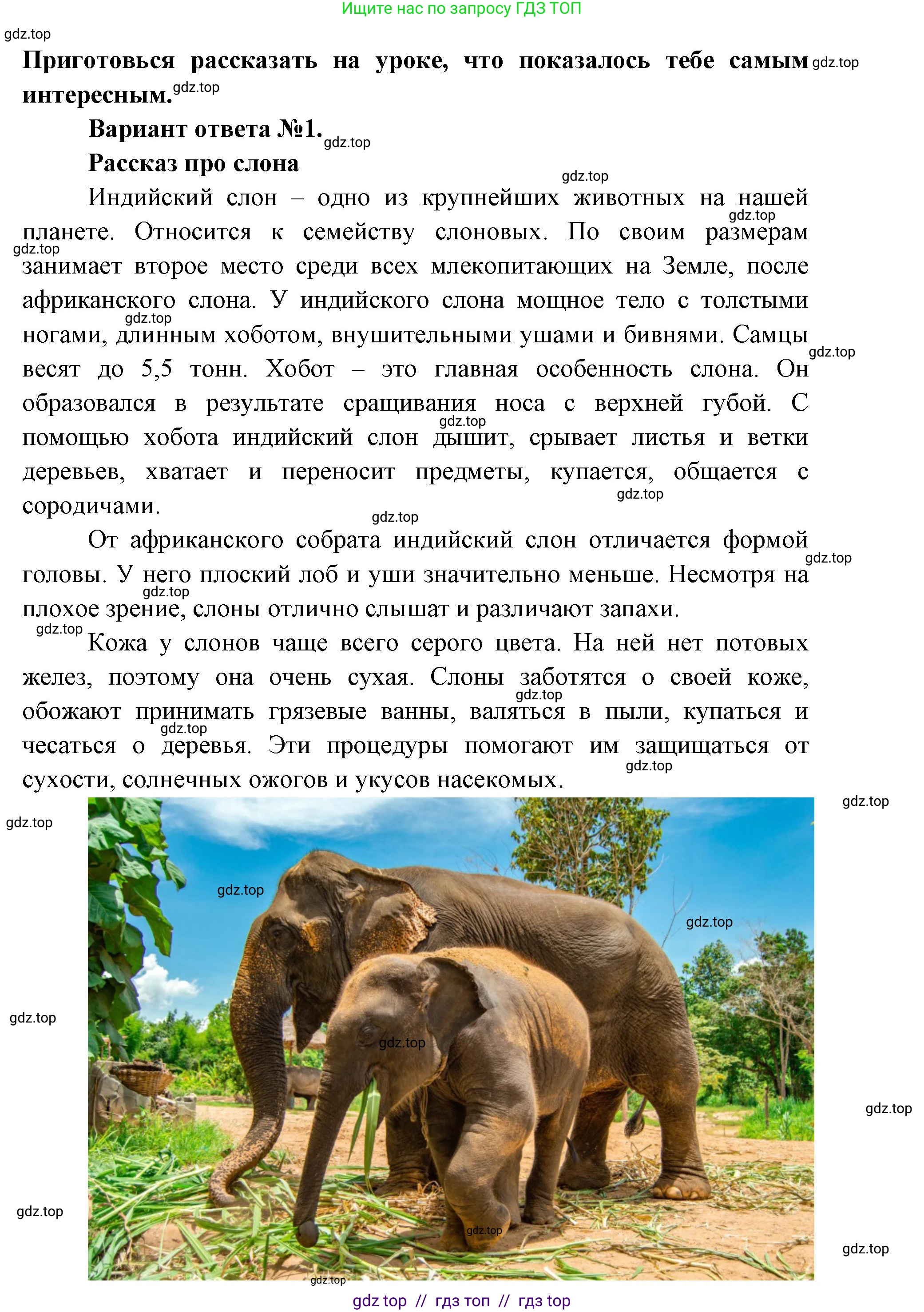 Окружающий мир, 1 класс рабочая тетрадь, автор: Плешаков Андрей Анатольевич, издательство Просвещение, Москва, 2023, белого цвета, Часть 2, страница 10, Решение 2 (продолжение 4)