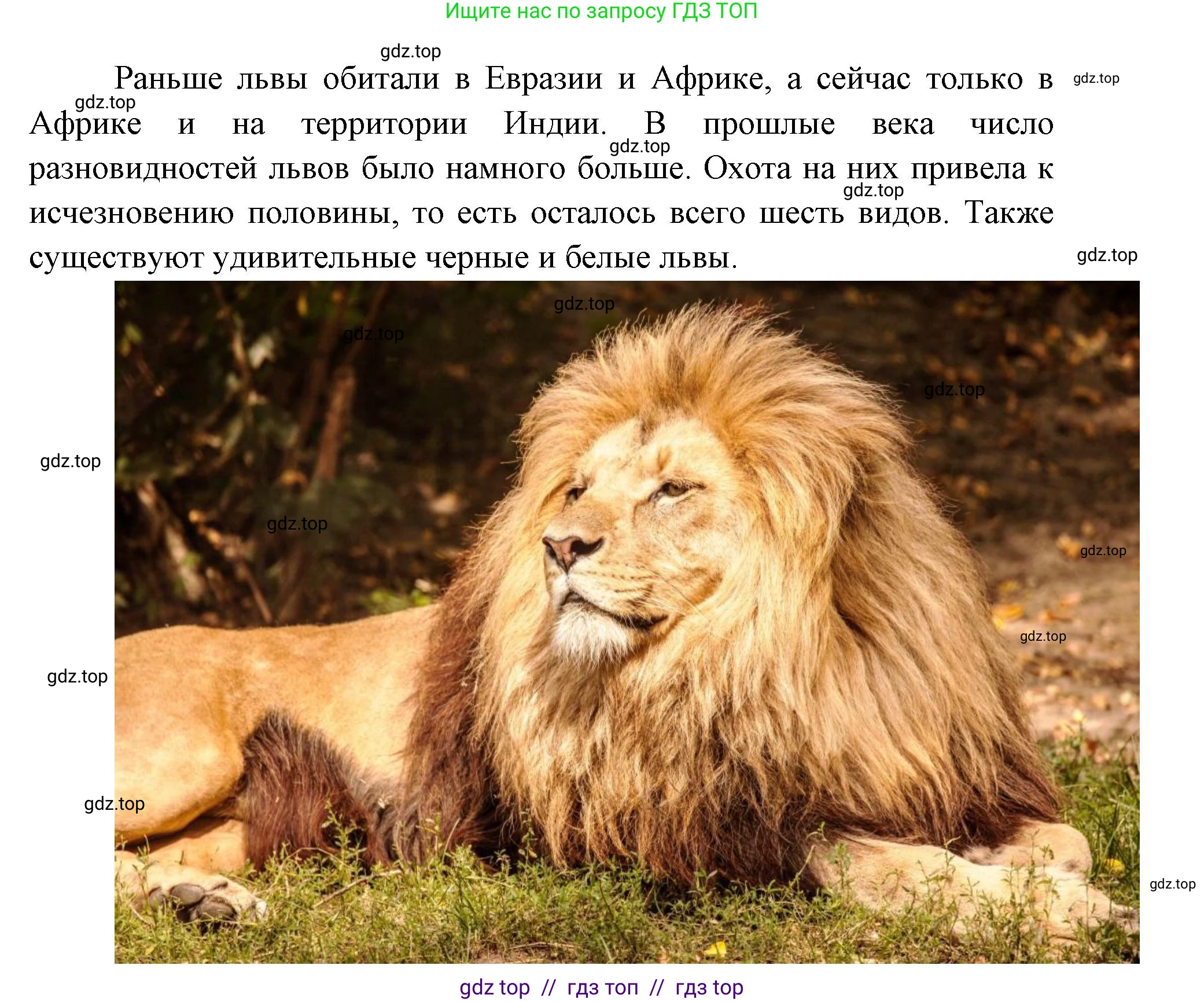 Окружающий мир, 1 класс рабочая тетрадь, автор: Плешаков Андрей Анатольевич, издательство Просвещение, Москва, 2023, белого цвета, Часть 2, страница 10, Решение 2 (продолжение 8)