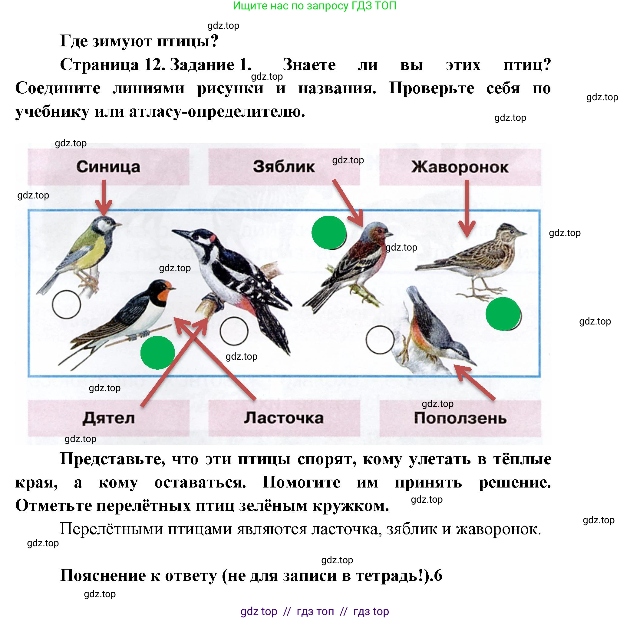 Окружающий мир, 1 класс рабочая тетрадь, автор: Плешаков Андрей Анатольевич, издательство Просвещение, Москва, 2023, белого цвета, Часть 2, страница 12, Решение 2