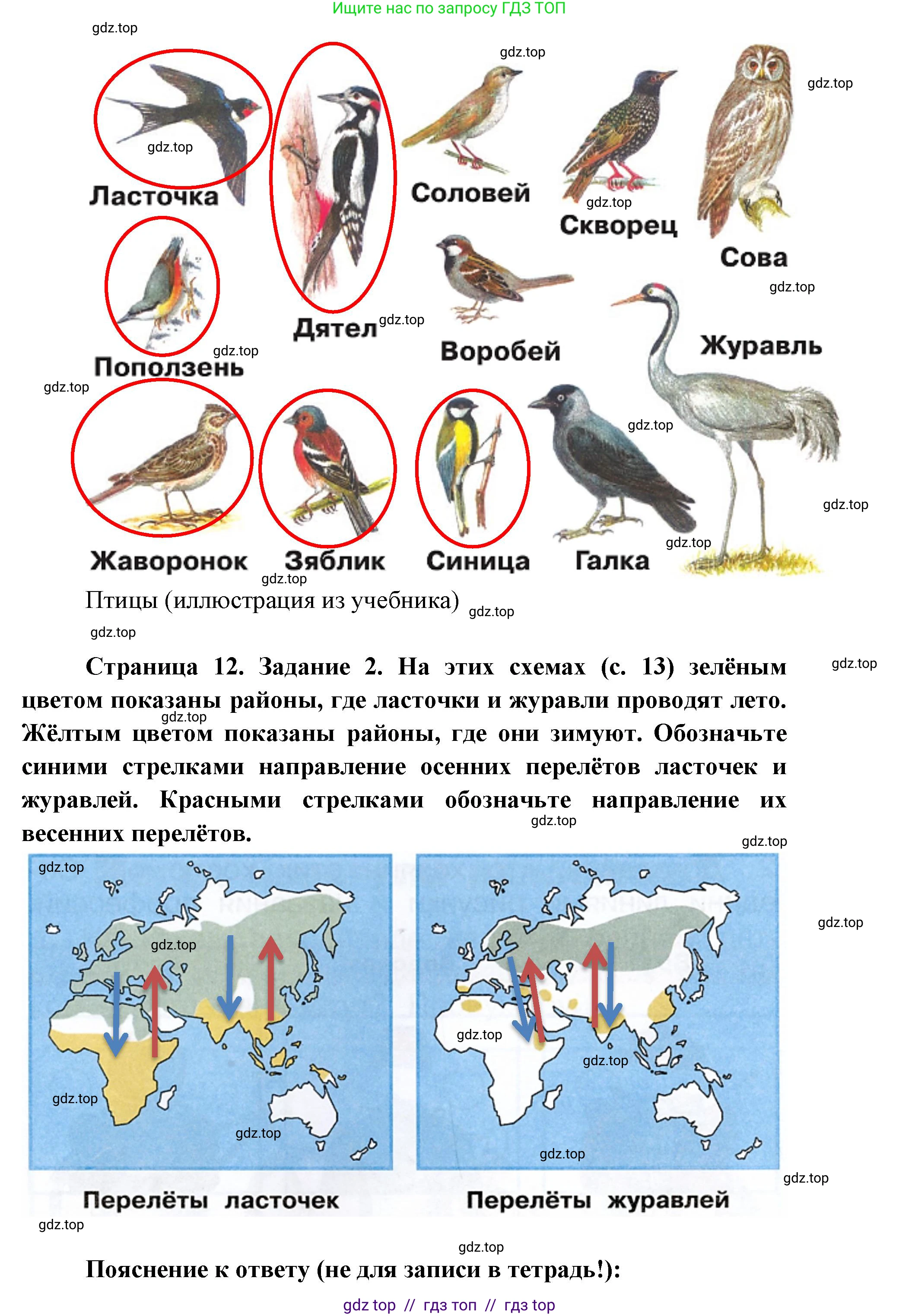 Окружающий мир, 1 класс рабочая тетрадь, автор: Плешаков Андрей Анатольевич, издательство Просвещение, Москва, 2023, белого цвета, Часть 2, страница 12, Решение 2 (продолжение 2)