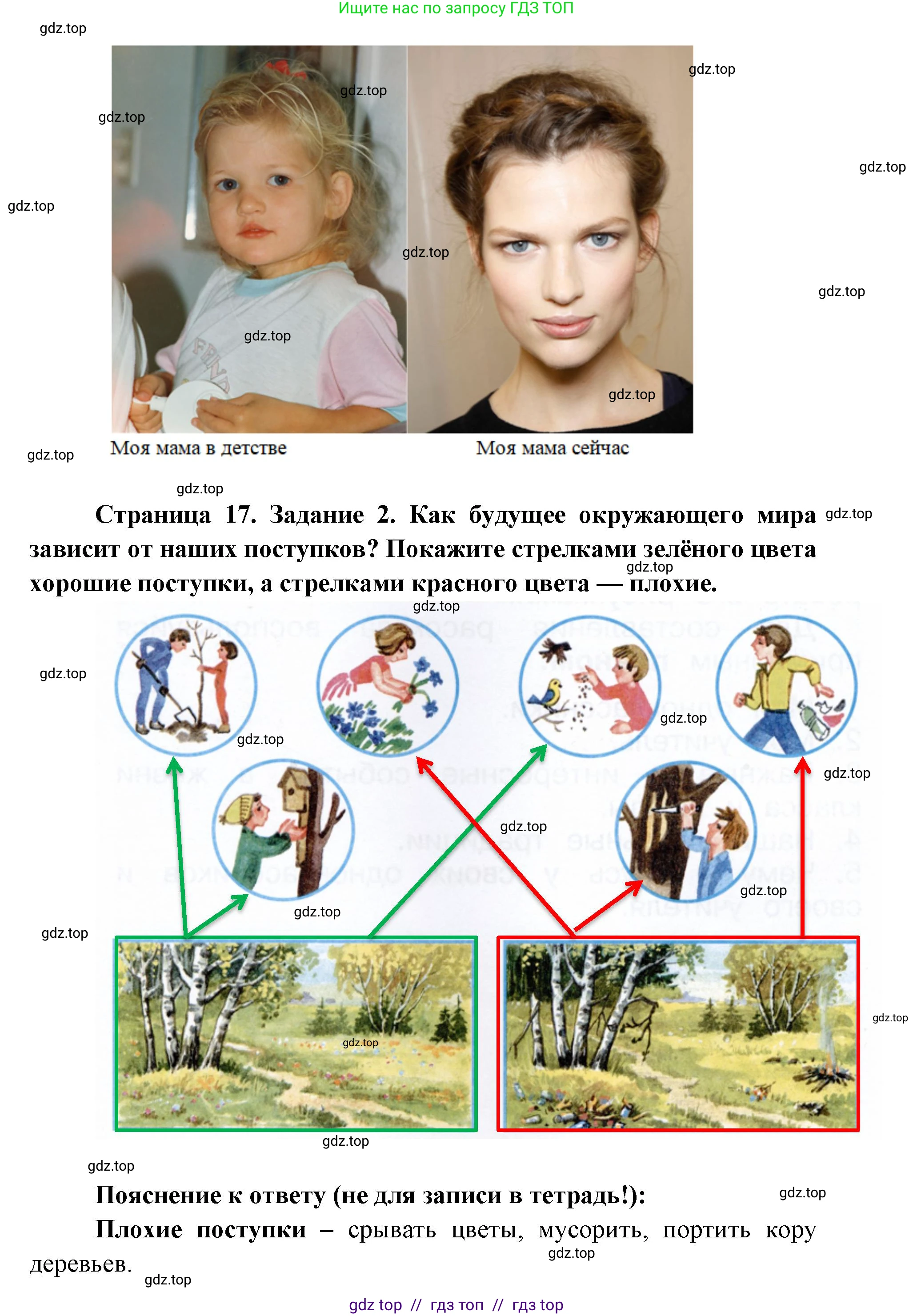 Окружающий мир, 1 класс рабочая тетрадь, автор: Плешаков Андрей Анатольевич, издательство Просвещение, Москва, 2023, белого цвета, Часть 2, страница 16, Решение 2 (продолжение 2)
