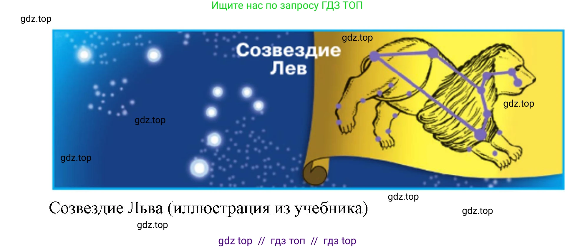 Окружающий мир, 1 класс рабочая тетрадь, автор: Плешаков Андрей Анатольевич, издательство Просвещение, Москва, 2023, белого цвета, Часть 2, страница 21, Решение 2 (продолжение 3)