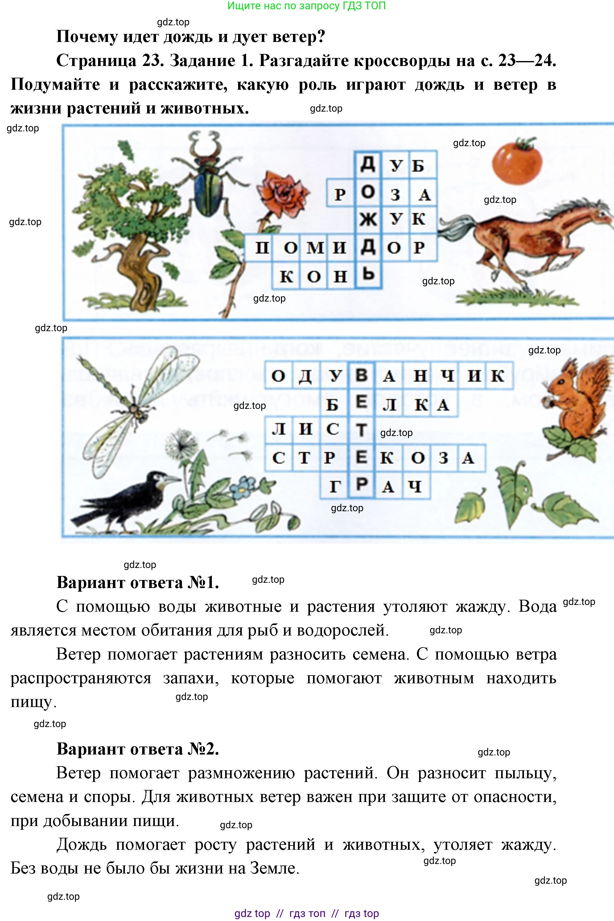 Окружающий мир, 1 класс рабочая тетрадь, автор: Плешаков Андрей Анатольевич, издательство Просвещение, Москва, 2023, белого цвета, Часть 2, страница 23, Решение 2