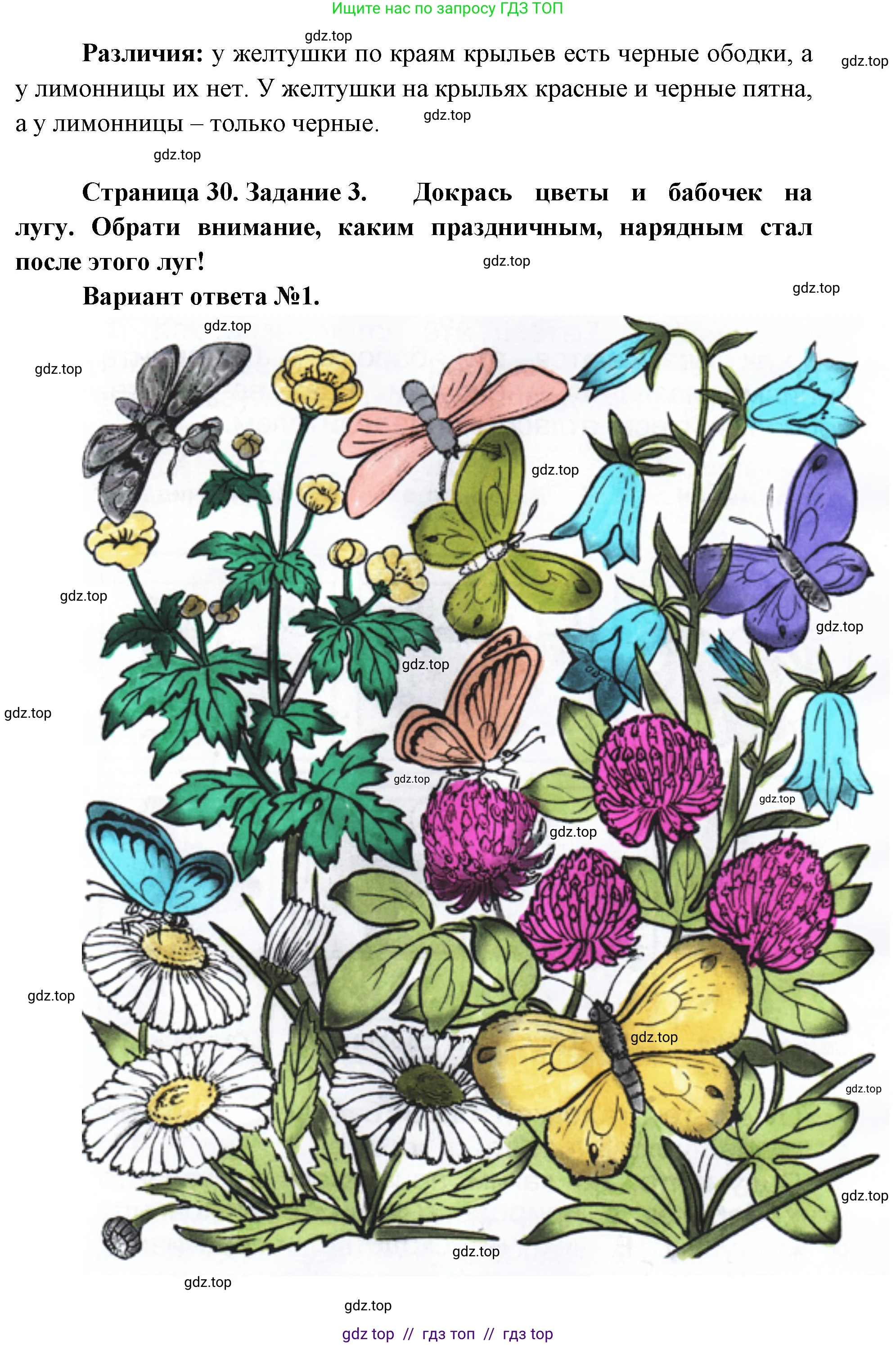 Окружающий мир, 1 класс рабочая тетрадь, автор: Плешаков Андрей Анатольевич, издательство Просвещение, Москва, 2023, белого цвета, Часть 2, страница 28, Решение 2 (продолжение 3)