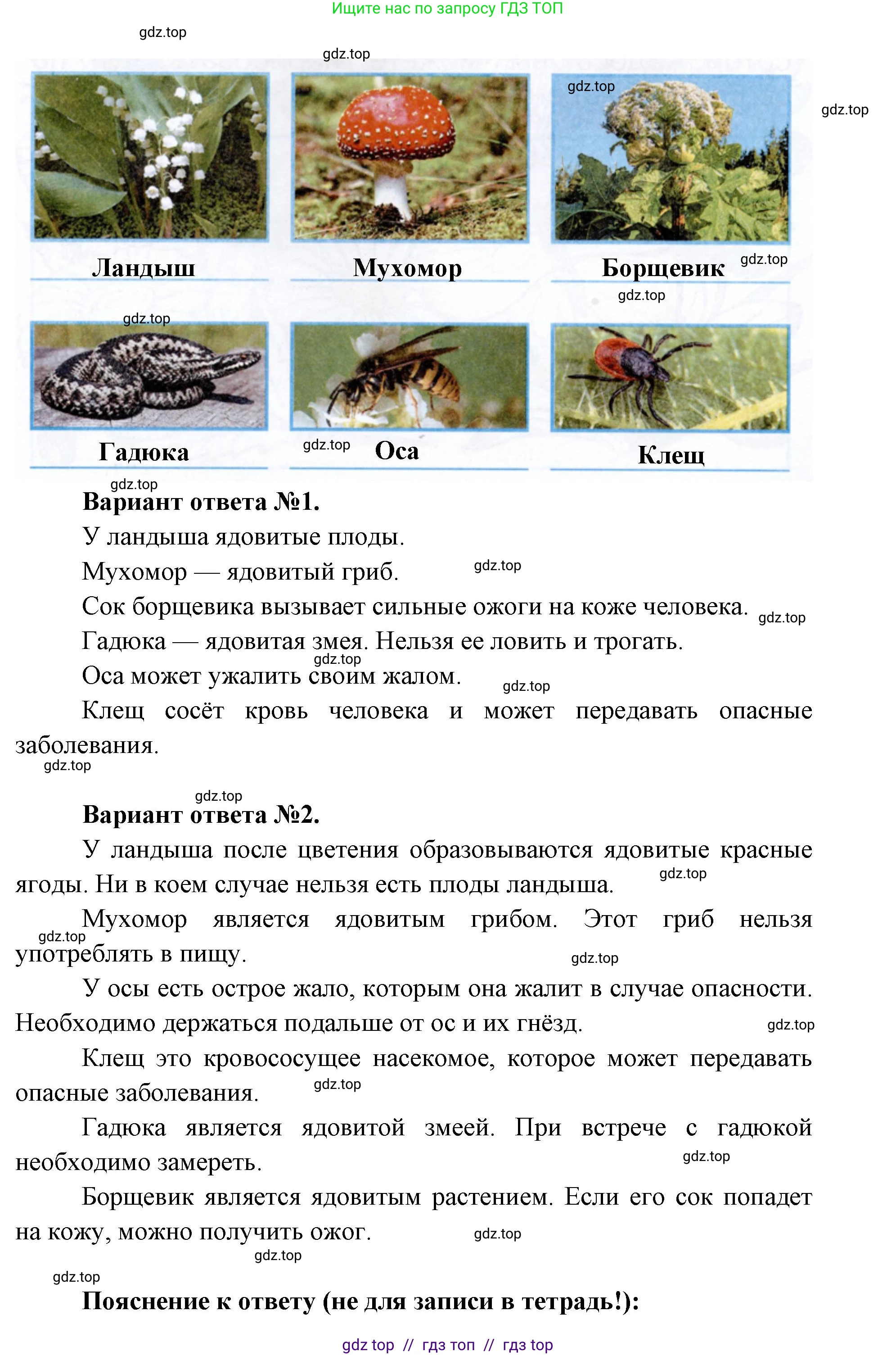 Окружающий мир, 1 класс рабочая тетрадь, автор: Плешаков Андрей Анатольевич, издательство Просвещение, Москва, 2023, белого цвета, Часть 2, страница 32, Решение 2 (продолжение 2)