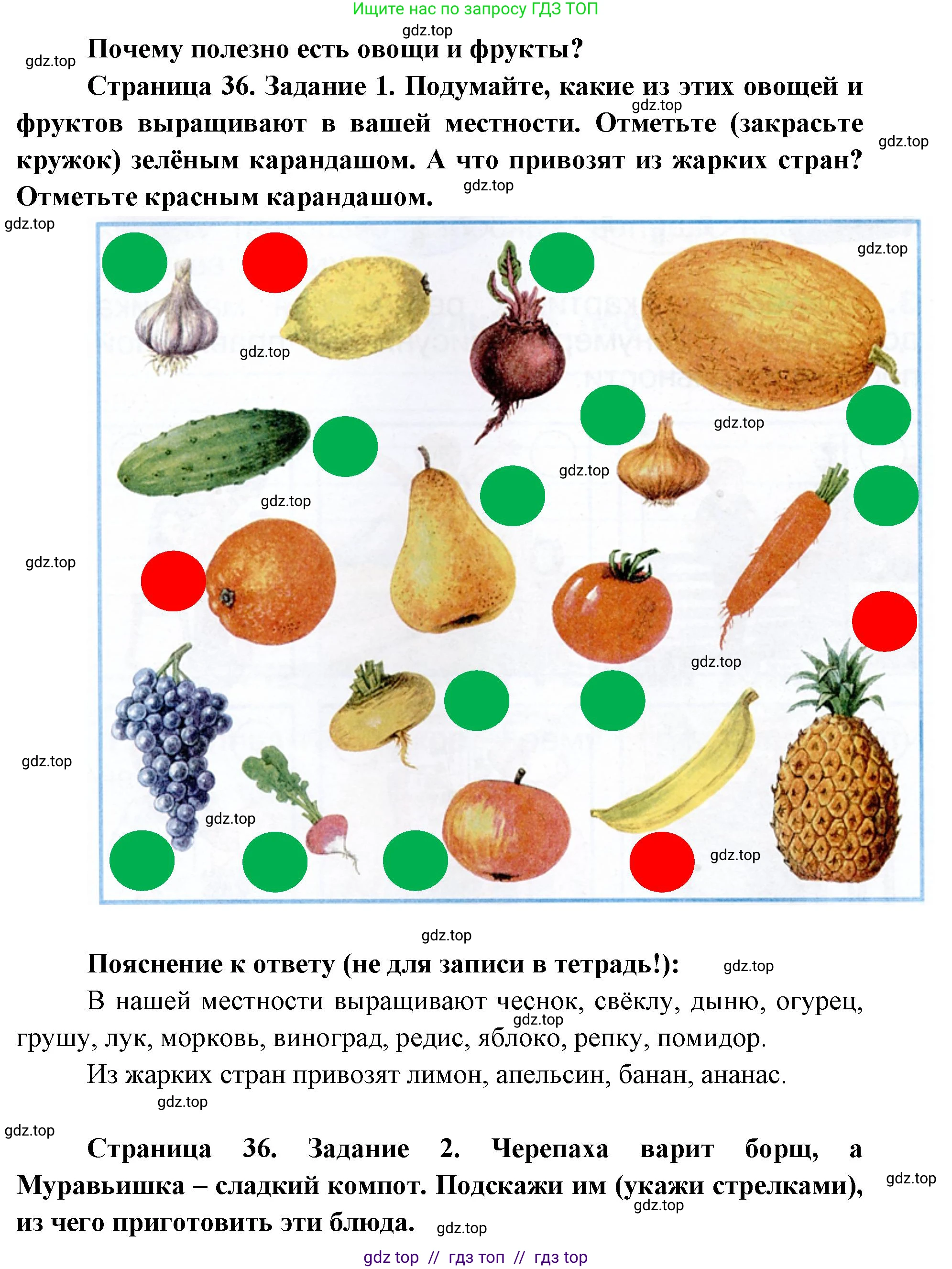 Окружающий мир, 1 класс рабочая тетрадь, автор: Плешаков Андрей Анатольевич, издательство Просвещение, Москва, 2023, белого цвета, Часть 2, страница 36, Решение 2