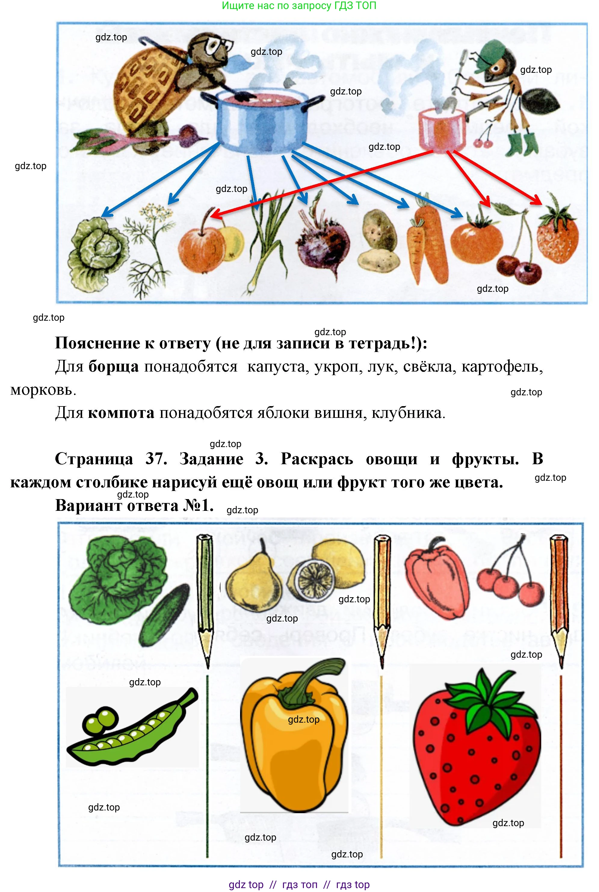 Окружающий мир, 1 класс рабочая тетрадь, автор: Плешаков Андрей Анатольевич, издательство Просвещение, Москва, 2023, белого цвета, Часть 2, страница 36, Решение 2 (продолжение 2)