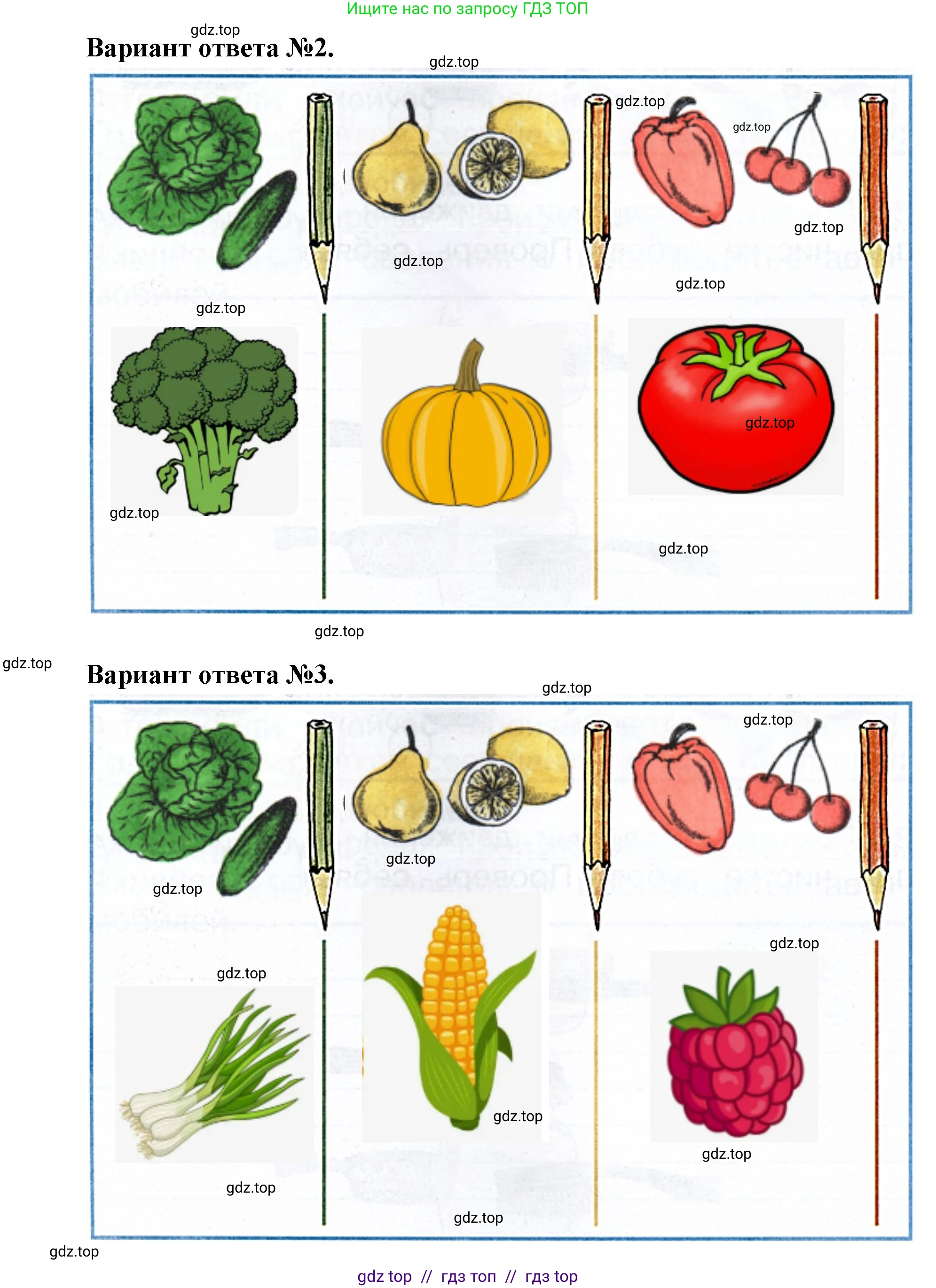 Окружающий мир, 1 класс рабочая тетрадь, автор: Плешаков Андрей Анатольевич, издательство Просвещение, Москва, 2023, белого цвета, Часть 2, страница 36, Решение 2 (продолжение 3)