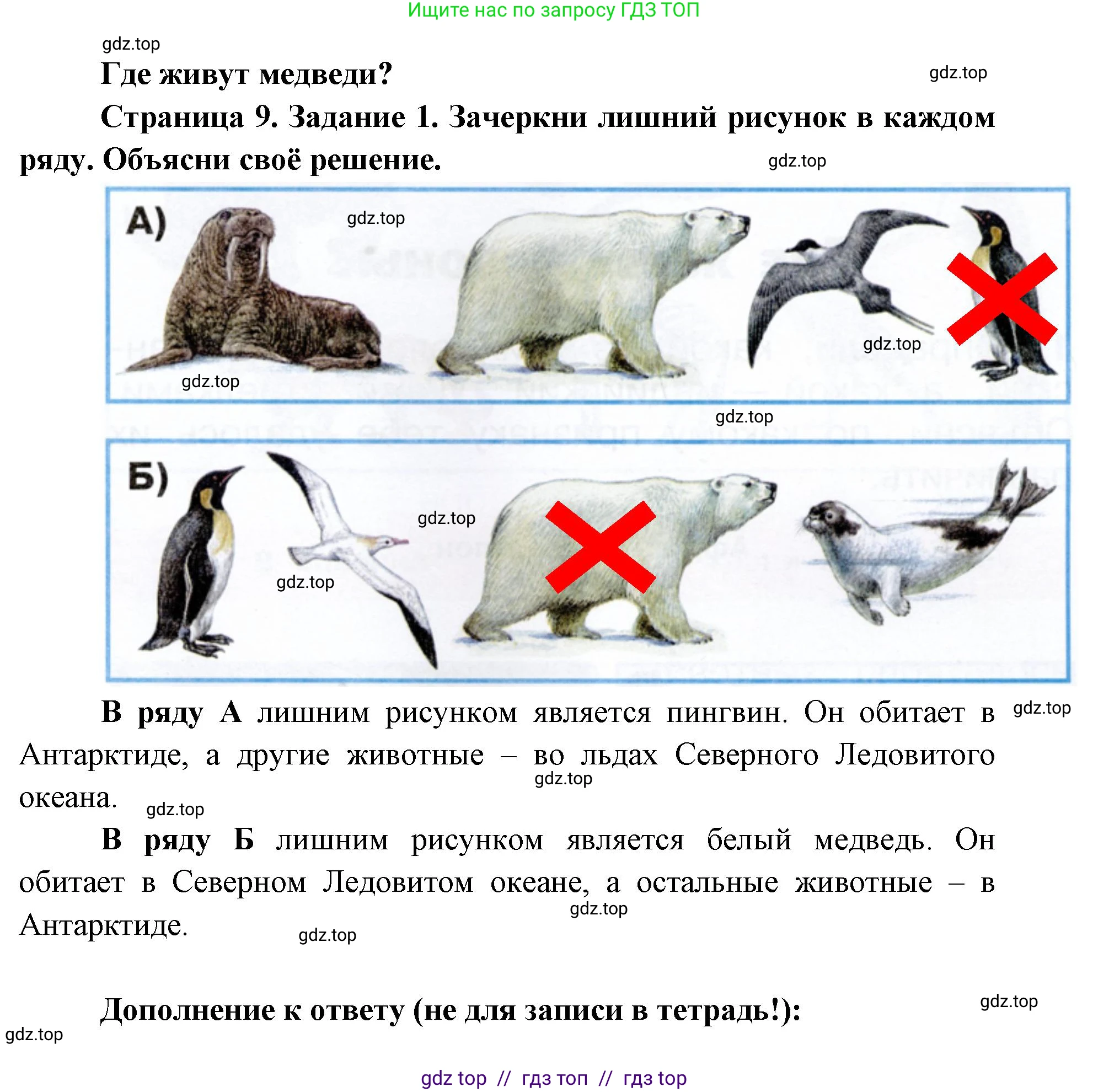 Окружающий мир, 1 класс рабочая тетрадь, автор: Плешаков Андрей Анатольевич, издательство Просвещение, Москва, 2023, белого цвета, Часть 2, страница 9, Решение 2