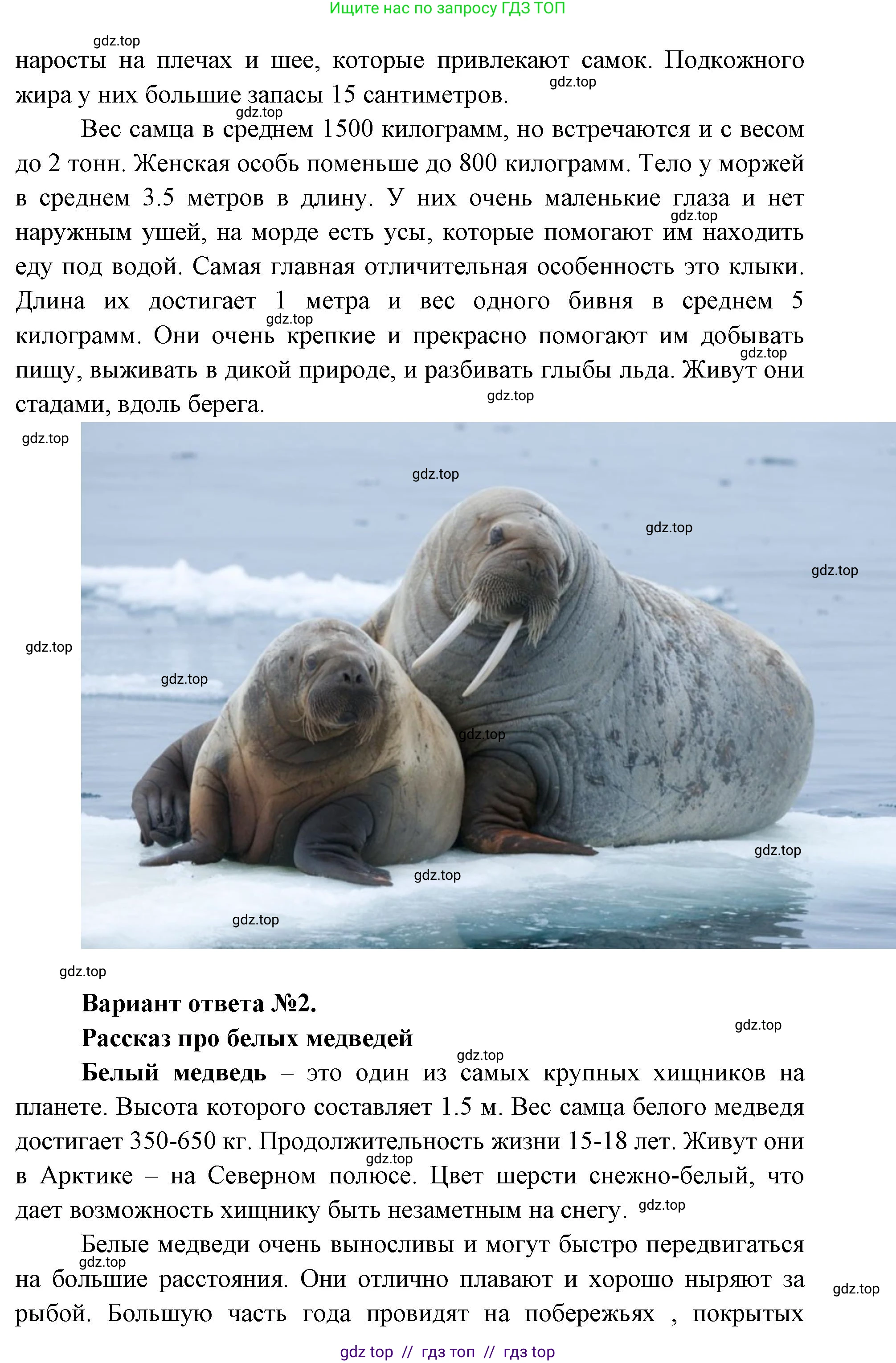 Окружающий мир, 1 класс рабочая тетрадь, автор: Плешаков Андрей Анатольевич, издательство Просвещение, Москва, 2023, белого цвета, Часть 2, страница 9, Решение 2 (продолжение 4)