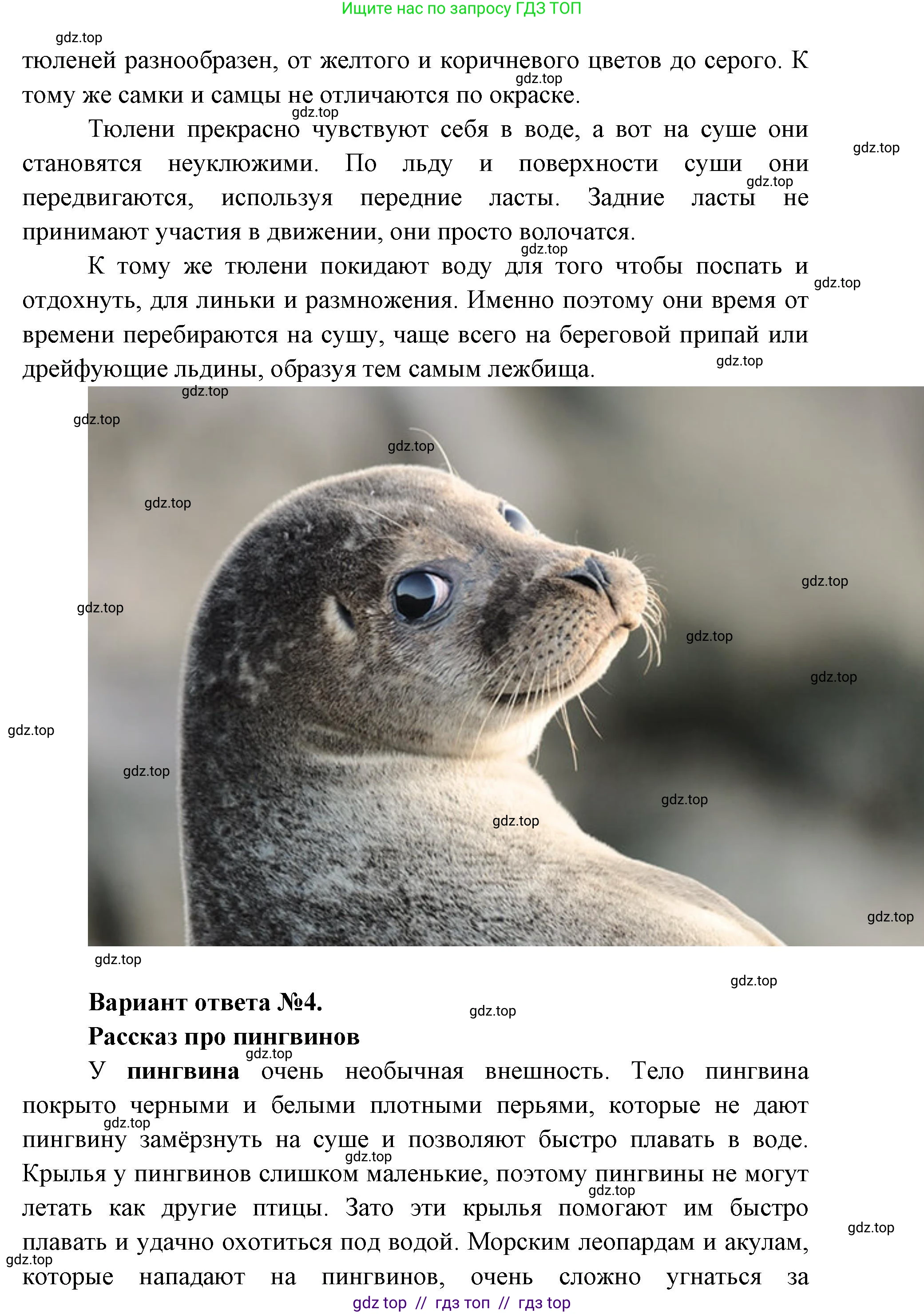 Окружающий мир, 1 класс рабочая тетрадь, автор: Плешаков Андрей Анатольевич, издательство Просвещение, Москва, 2023, белого цвета, Часть 2, страница 9, Решение 2 (продолжение 6)