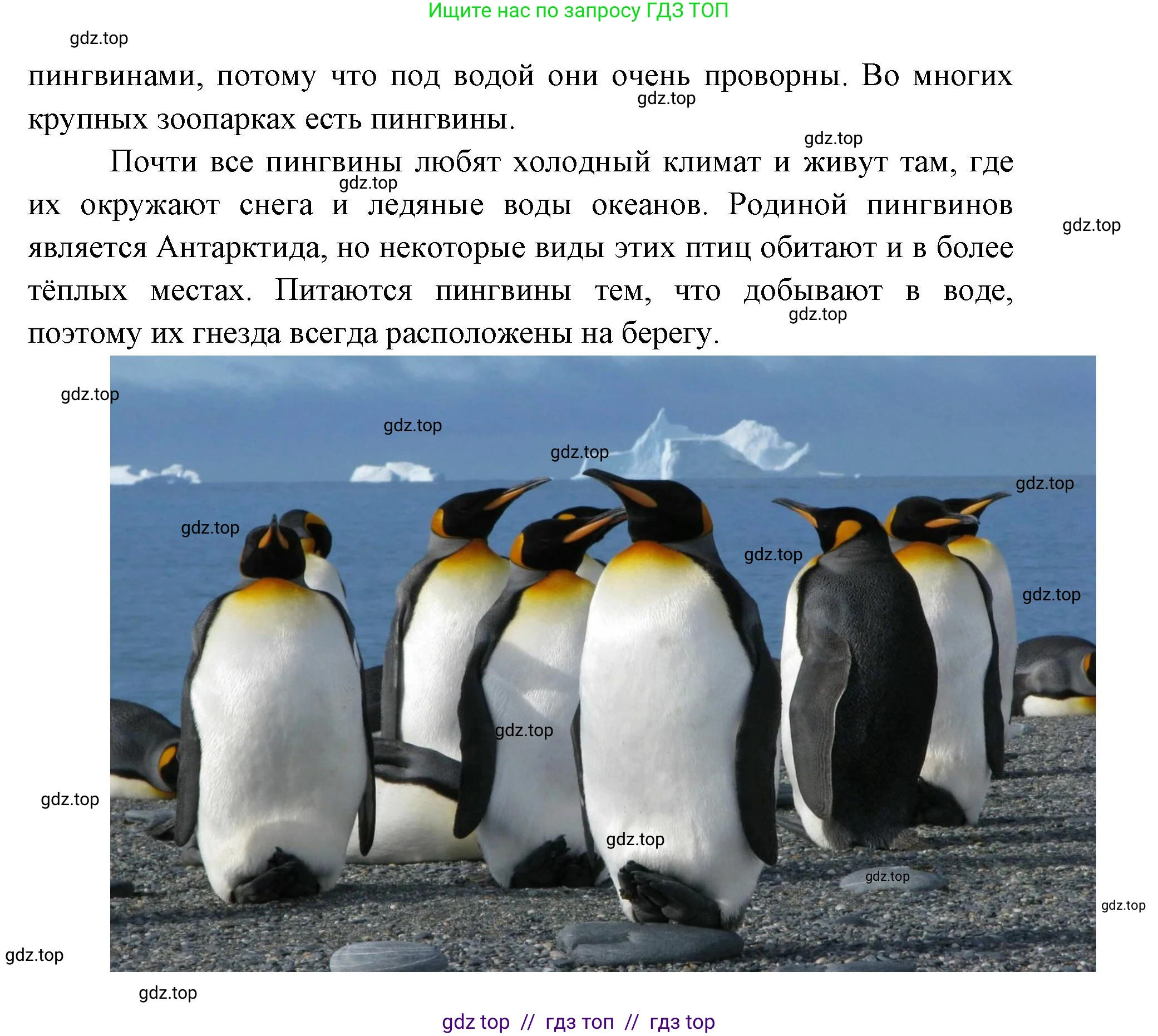 Окружающий мир, 1 класс рабочая тетрадь, автор: Плешаков Андрей Анатольевич, издательство Просвещение, Москва, 2023, белого цвета, Часть 2, страница 9, Решение 2 (продолжение 7)