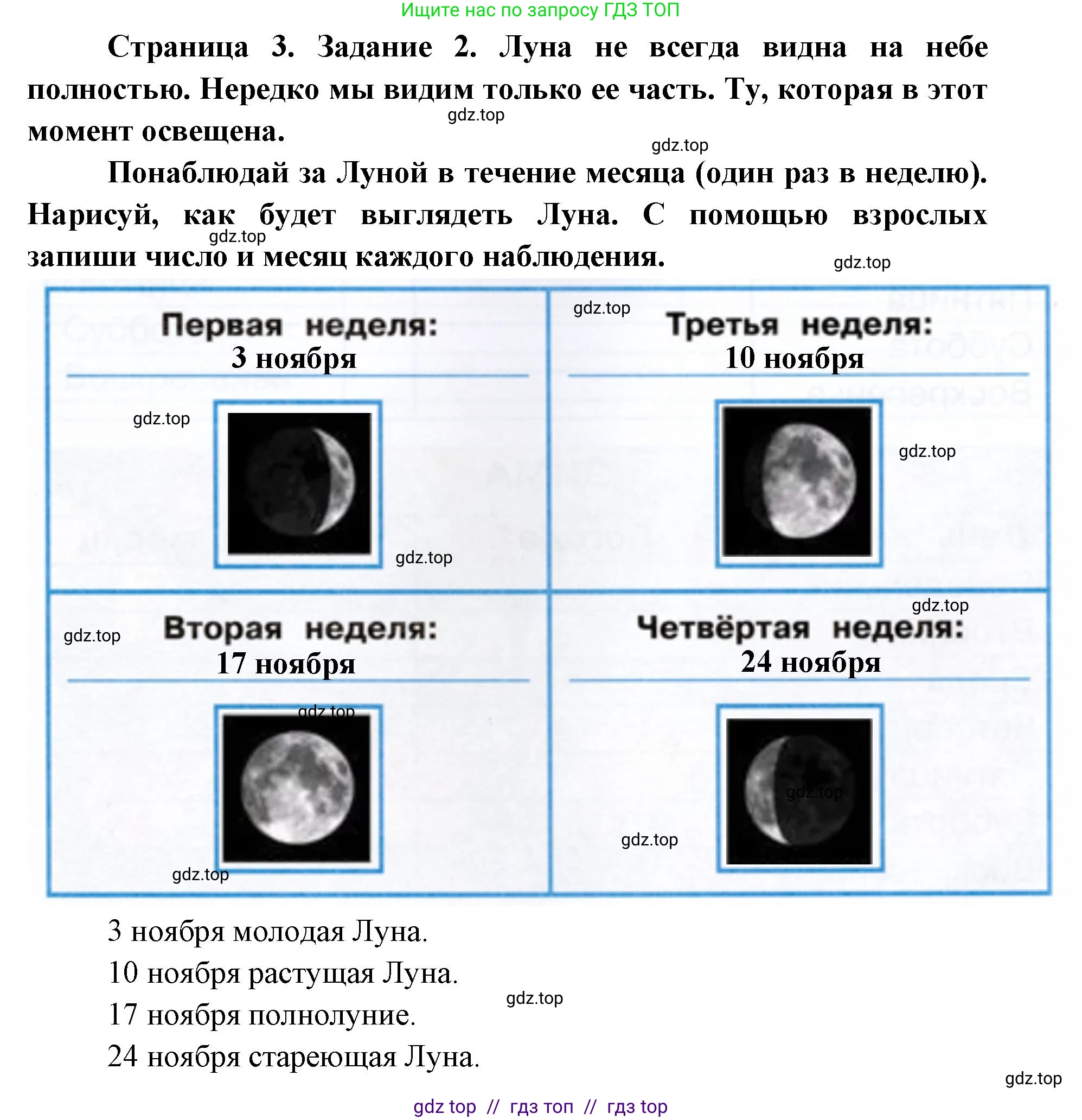 Окружающий мир, 1 класс рабочая тетрадь, автор: Плешаков Андрей Анатольевич, издательство Просвещение, Москва, 2023, белого цвета, страница 3, номер 2, Решение 2
