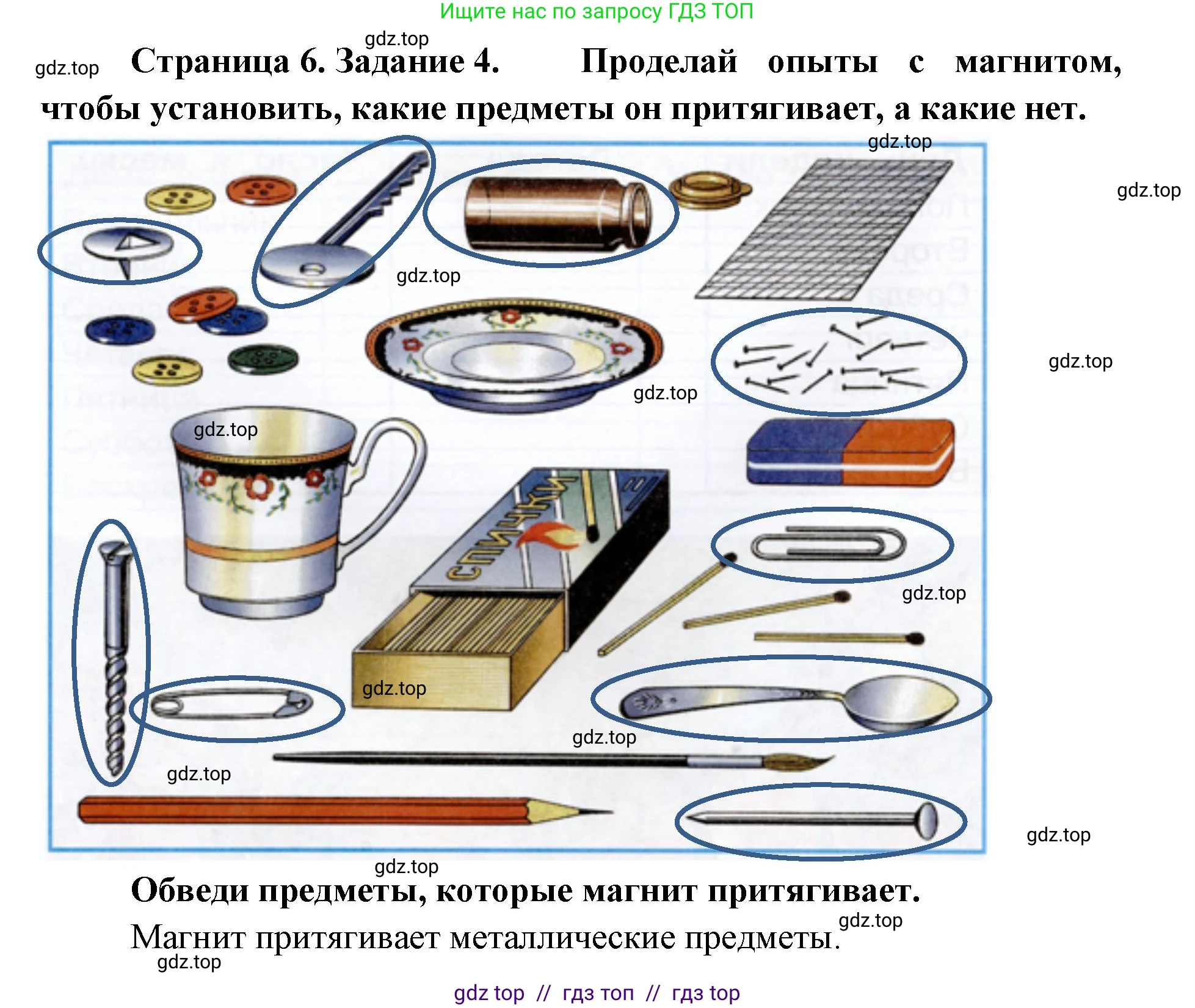 Окружающий мир, 1 класс рабочая тетрадь, автор: Плешаков Андрей Анатольевич, издательство Просвещение, Москва, 2023, белого цвета, страница 6, номер 4, Решение 2