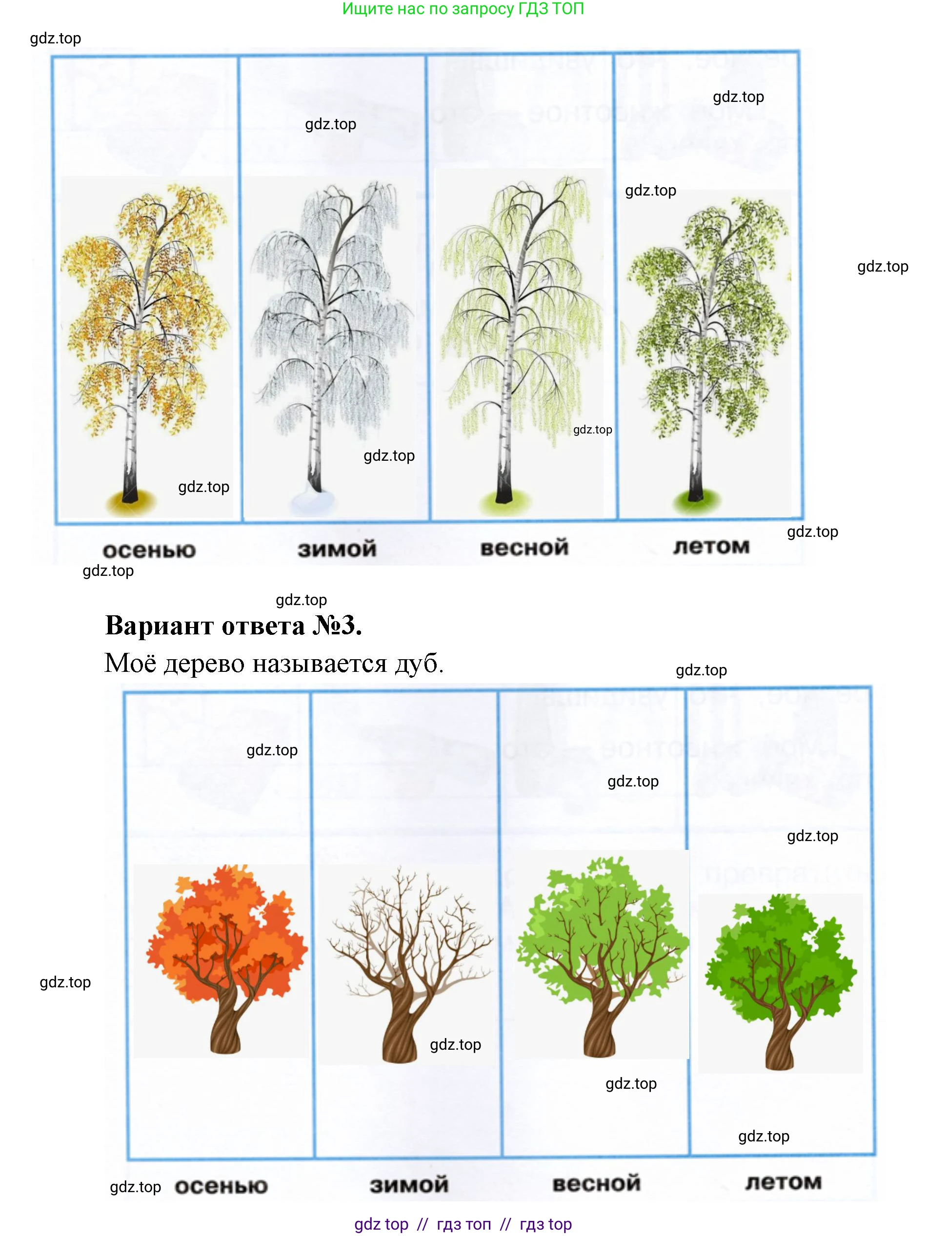 Окружающий мир, 1 класс рабочая тетрадь, автор: Плешаков Андрей Анатольевич, издательство Просвещение, Москва, 2023, белого цвета, страница 7, номер 5, Решение 2 (продолжение 2)