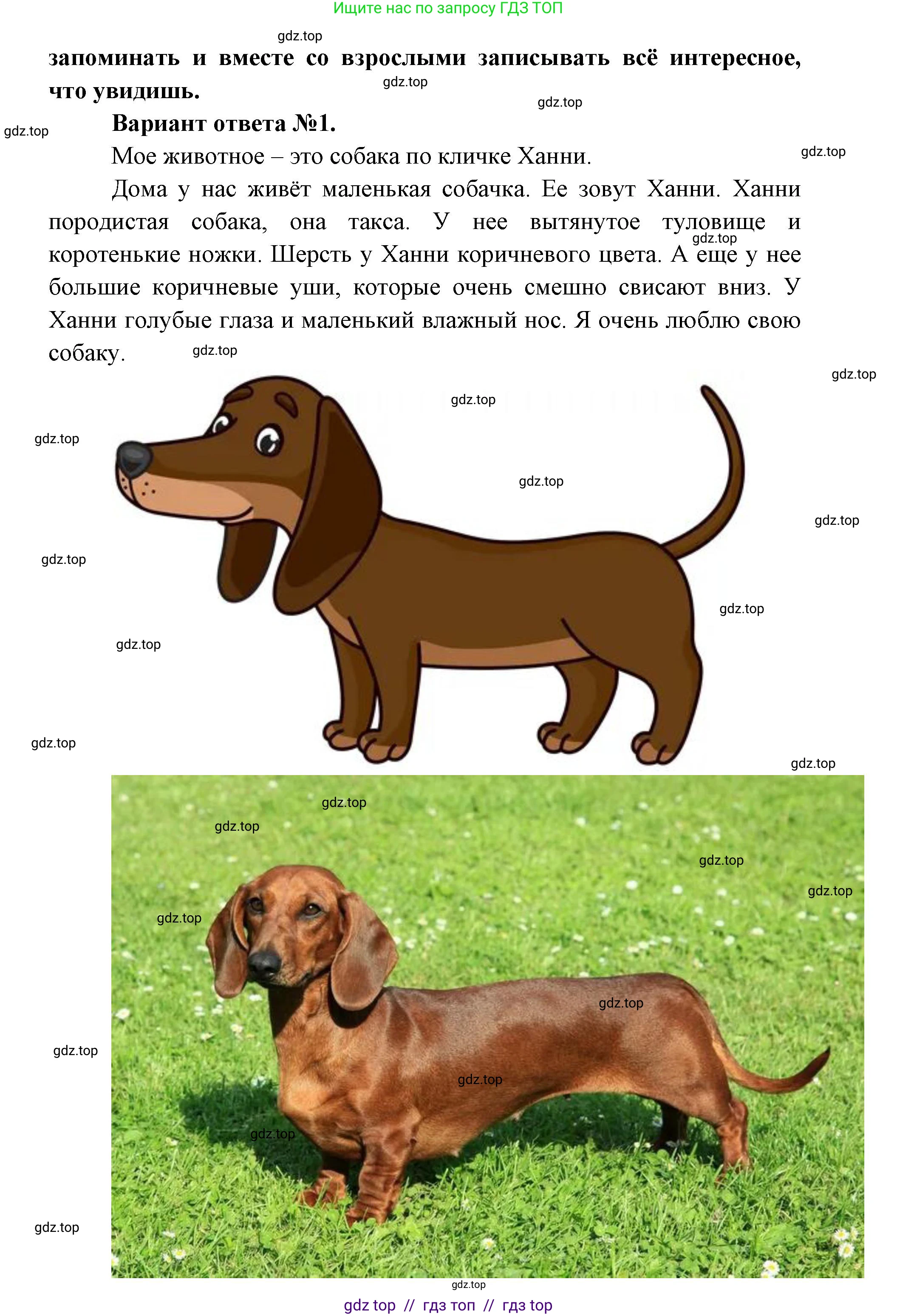 Окружающий мир, 1 класс рабочая тетрадь, автор: Плешаков Андрей Анатольевич, издательство Просвещение, Москва, 2023, белого цвета, страница 8, номер 6, Решение 2 (продолжение 2)