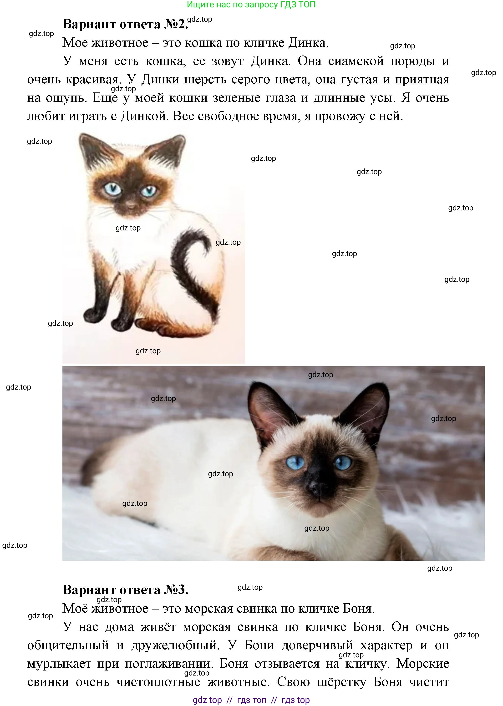 Окружающий мир, 1 класс рабочая тетрадь, автор: Плешаков Андрей Анатольевич, издательство Просвещение, Москва, 2023, белого цвета, страница 8, номер 6, Решение 2 (продолжение 3)