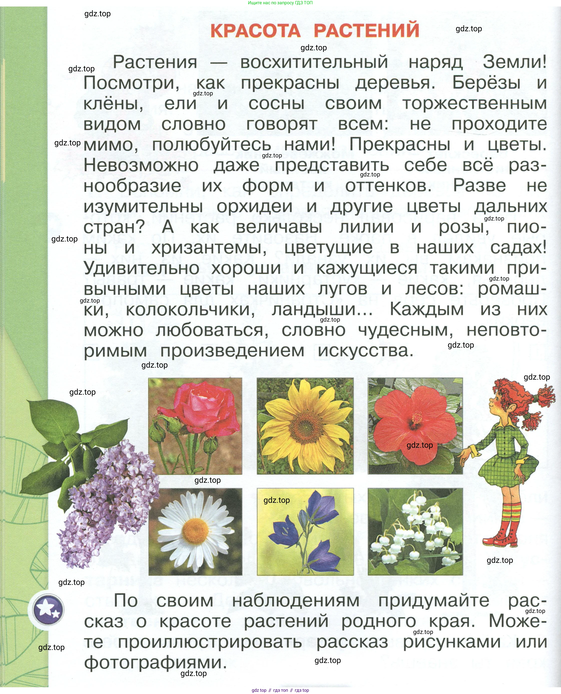 ГДЗ Окружающий мир, 1 класс Учебник, автор: Плешаков Андрей Анатольевич, издательство Просвещение, Москва, 2022, белого цвета, Часть 1, страница 100, Условие