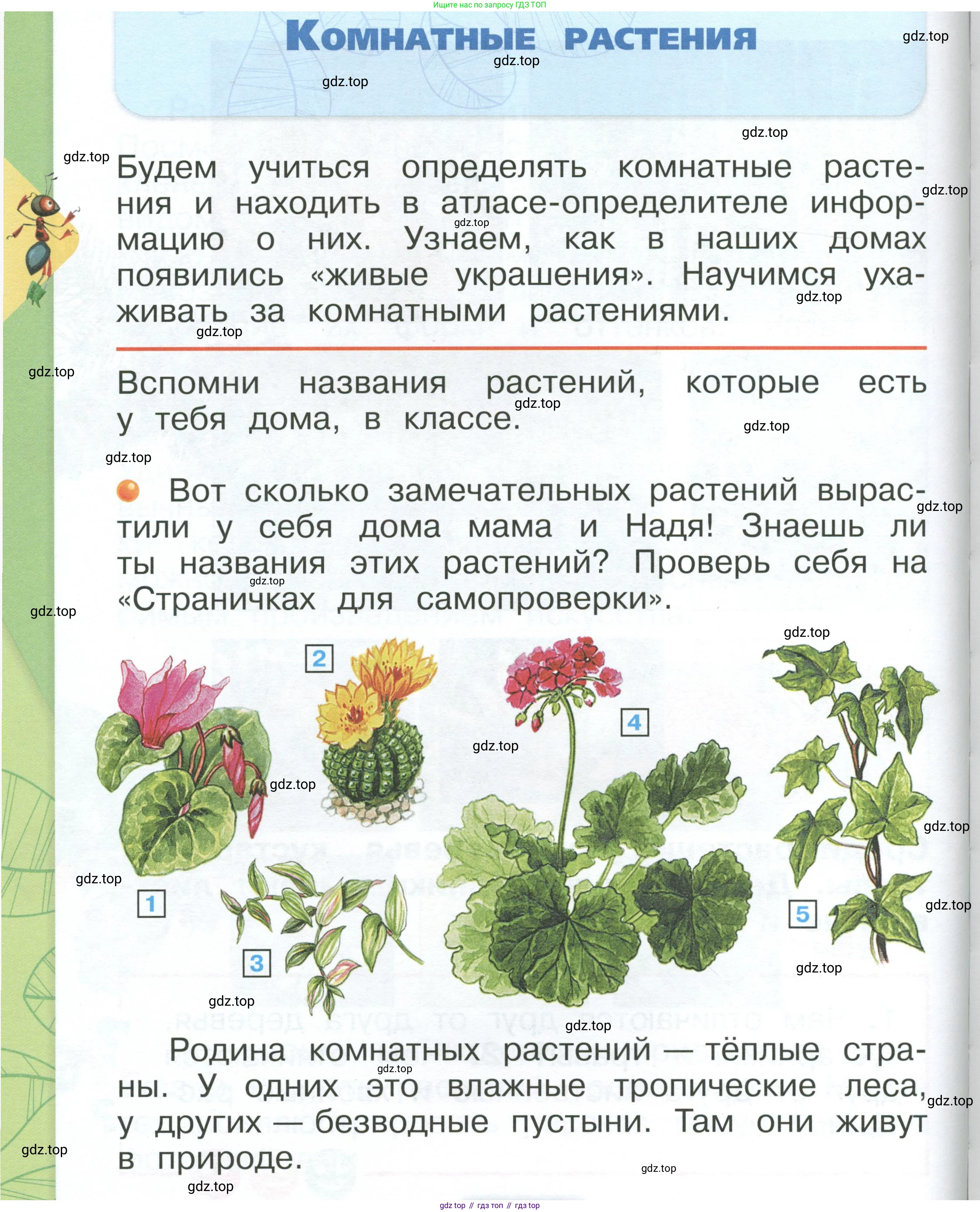 ГДЗ Окружающий мир, 1 класс Учебник, автор: Плешаков Андрей Анатольевич, издательство Просвещение, Москва, 2022, белого цвета, Часть 1, страница 102, Условие