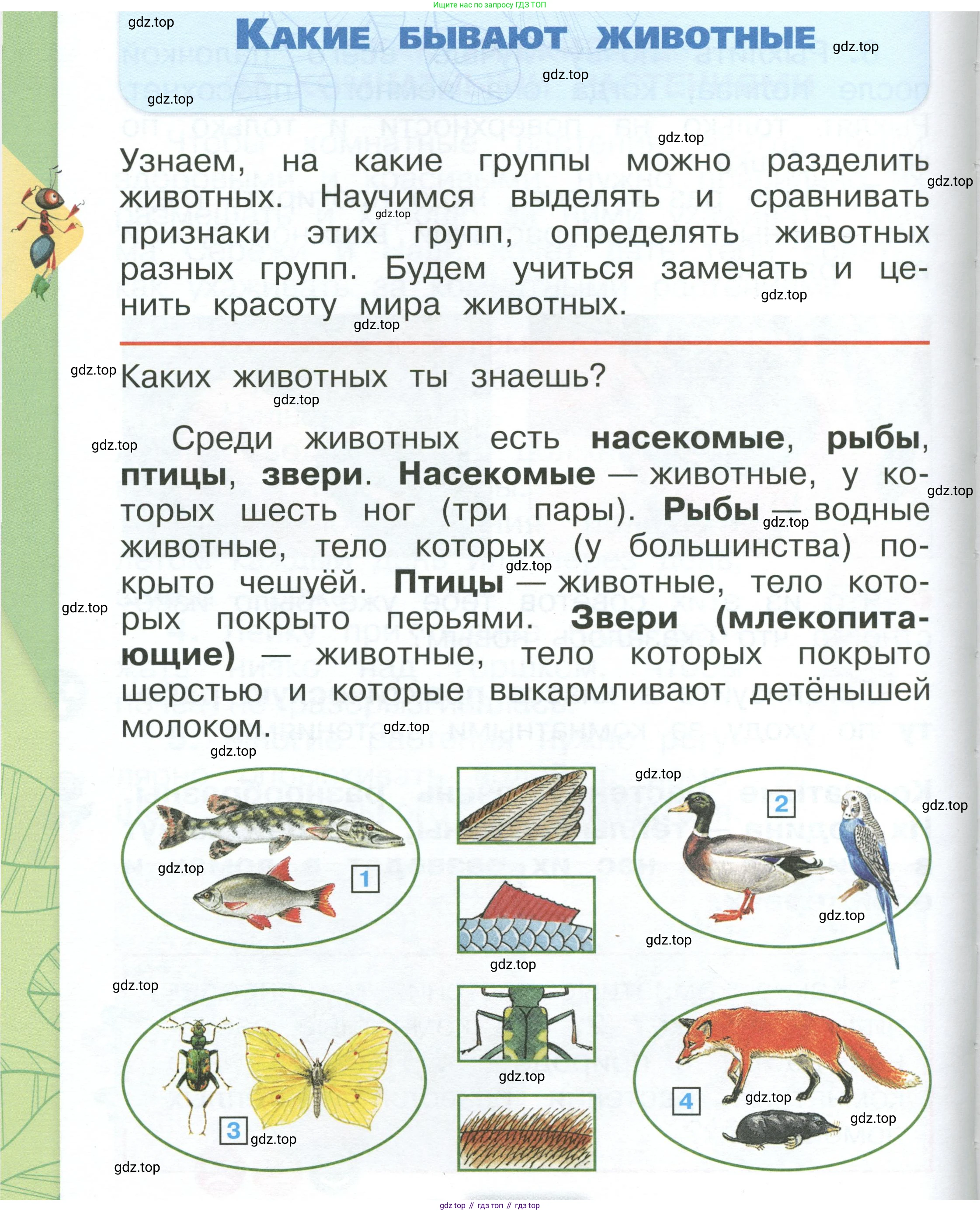 ГДЗ Окружающий мир, 1 класс Учебник, автор: Плешаков Андрей Анатольевич, издательство Просвещение, Москва, 2022, белого цвета, Часть 1, страница 106, Условие