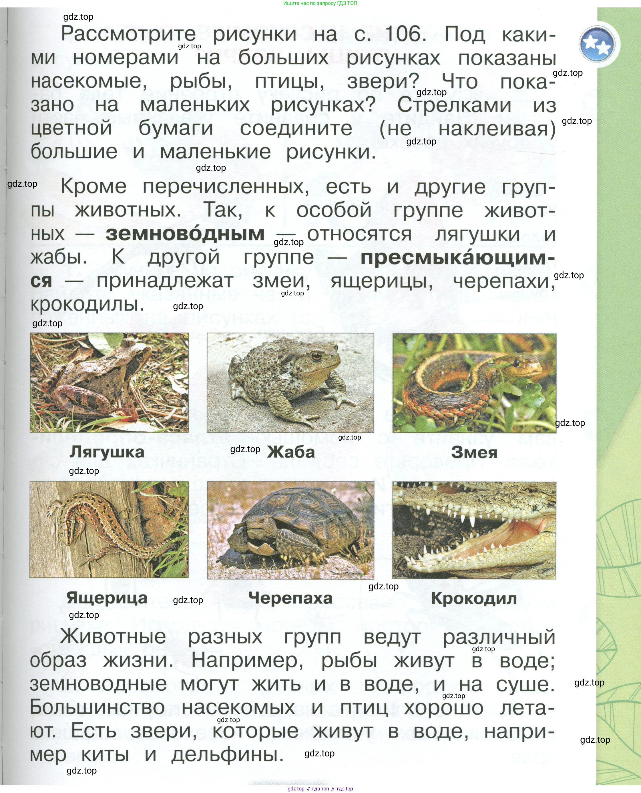ГДЗ Окружающий мир, 1 класс Учебник, автор: Плешаков Андрей Анатольевич, издательство Просвещение, Москва, 2022, белого цвета, Часть 1, страница 107, Условие