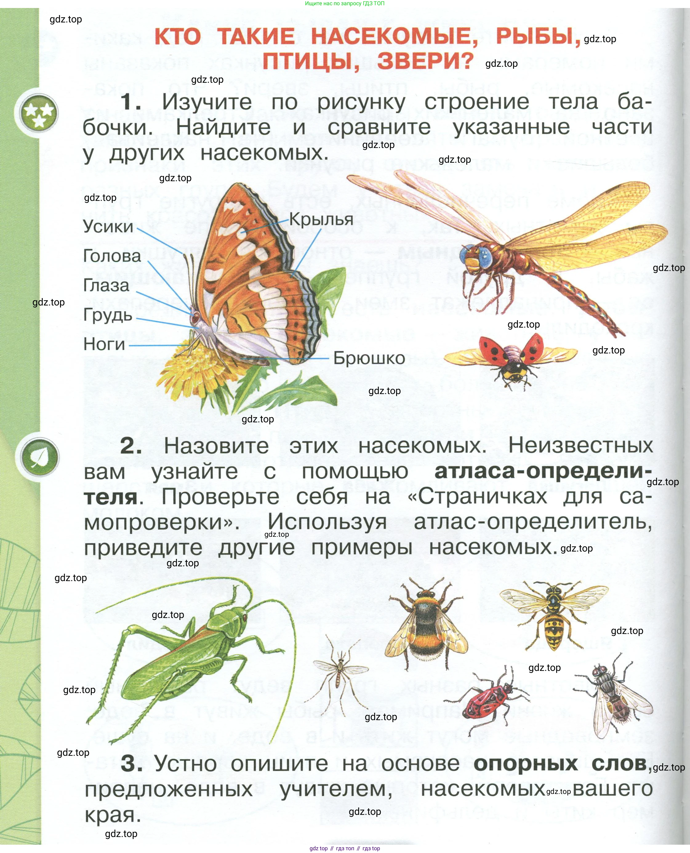 ГДЗ Окружающий мир, 1 класс Учебник, автор: Плешаков Андрей Анатольевич, издательство Просвещение, Москва, 2022, белого цвета, Часть 1, страница 108, Условие