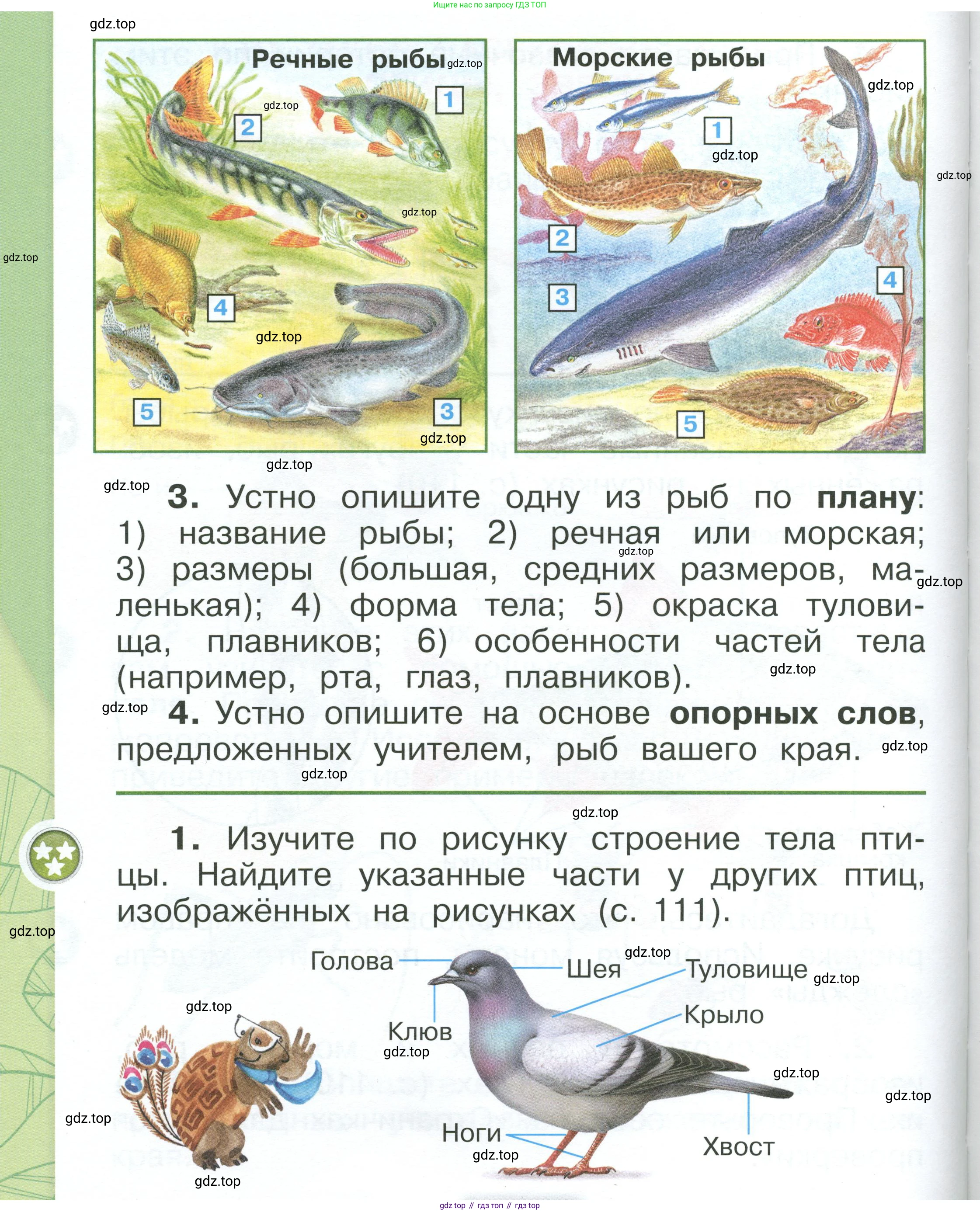 ГДЗ Окружающий мир, 1 класс Учебник, автор: Плешаков Андрей Анатольевич, издательство Просвещение, Москва, 2022, белого цвета, Часть 1, страница 110, Условие