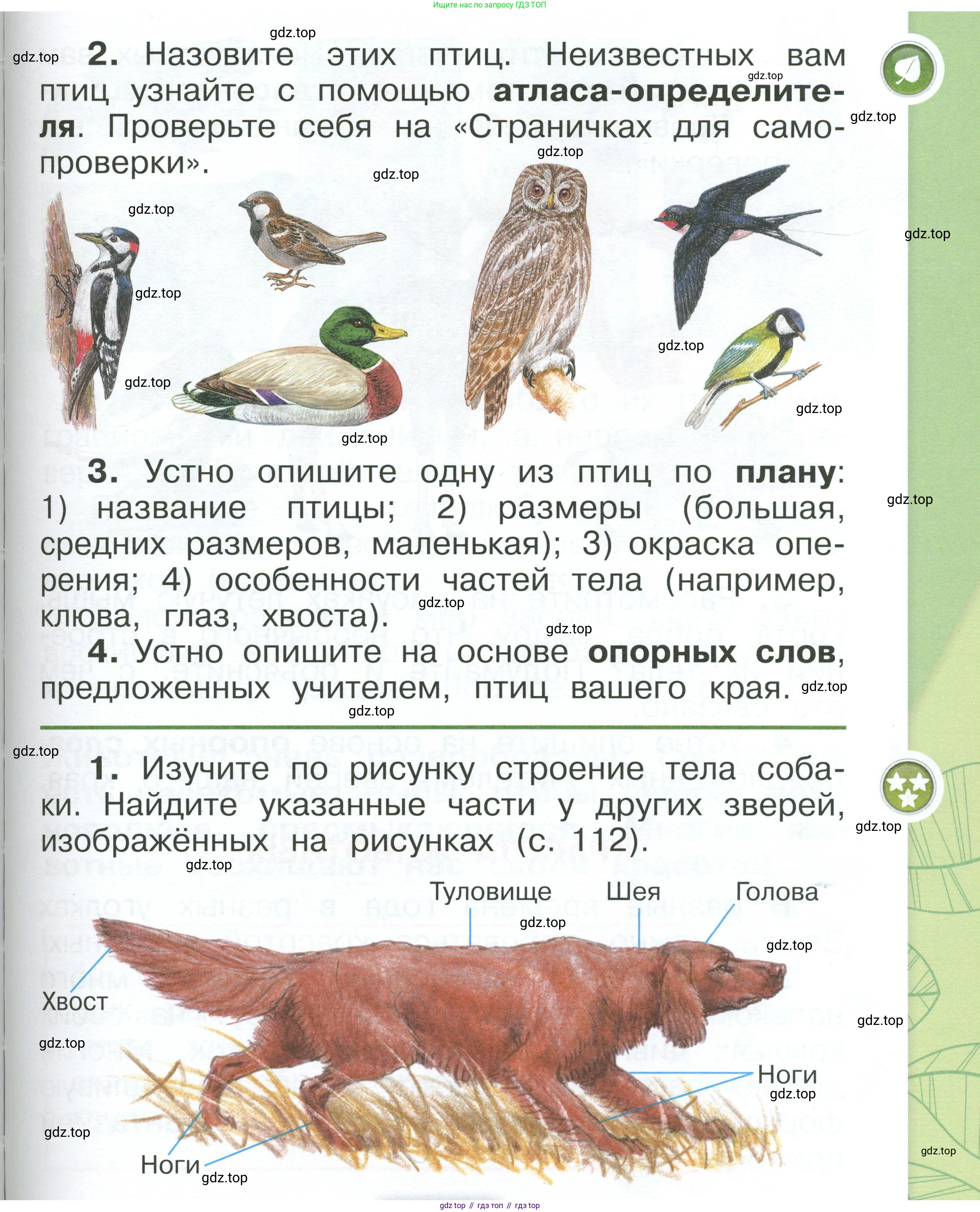 ГДЗ Окружающий мир, 1 класс Учебник, автор: Плешаков Андрей Анатольевич, издательство Просвещение, Москва, 2022, белого цвета, Часть 1, страница 111, Условие