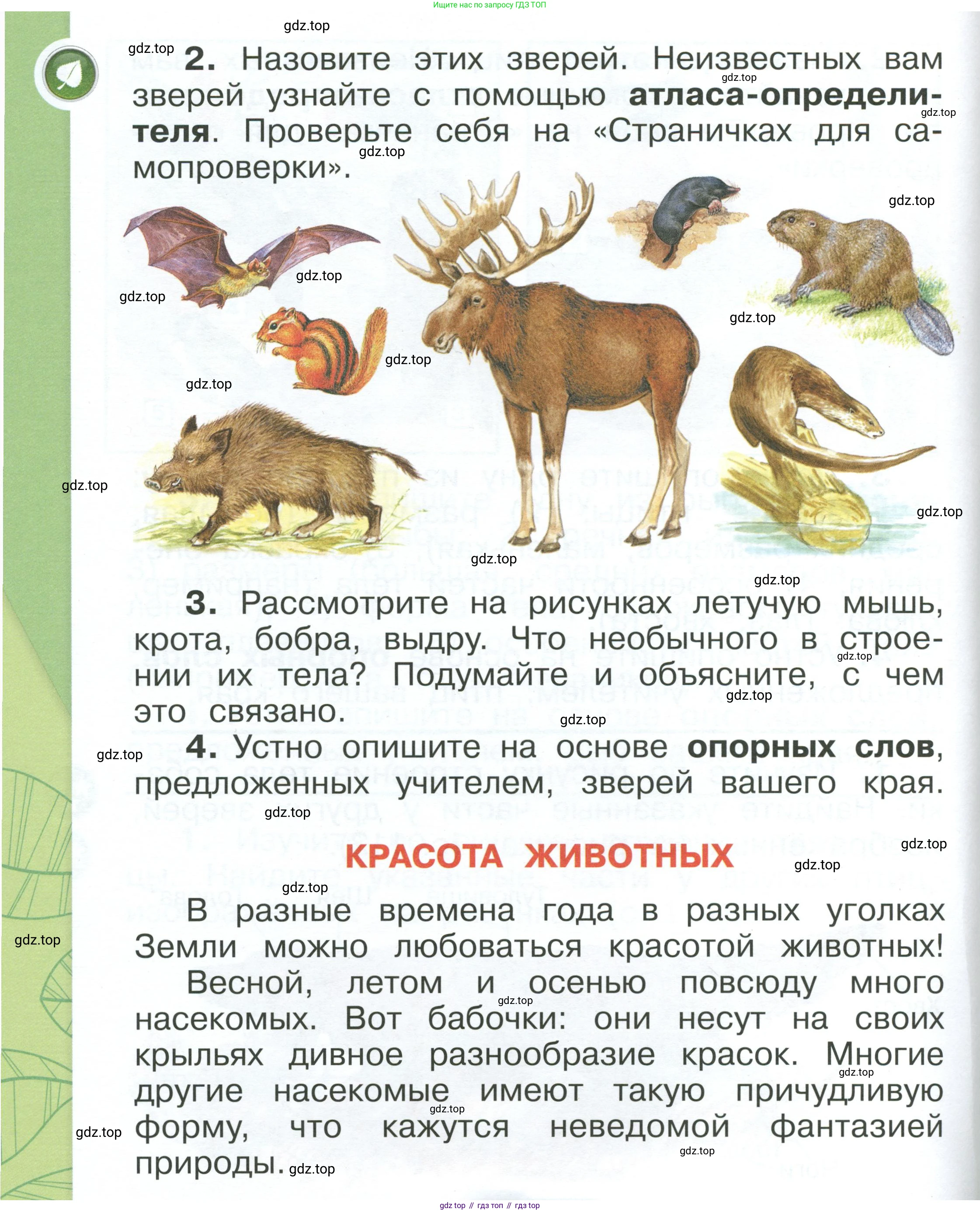 ГДЗ Окружающий мир, 1 класс Учебник, автор: Плешаков Андрей Анатольевич, издательство Просвещение, Москва, 2022, белого цвета, Часть 1, страница 112, Условие