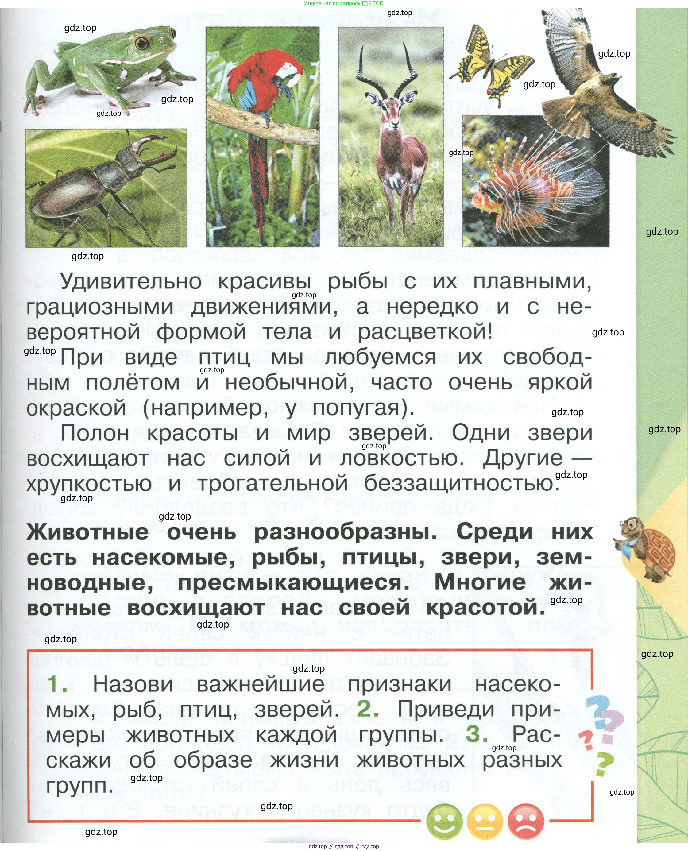 ГДЗ Окружающий мир, 1 класс Учебник, автор: Плешаков Андрей Анатольевич, издательство Просвещение, Москва, 2022, белого цвета, Часть 1, страница 113, Условие