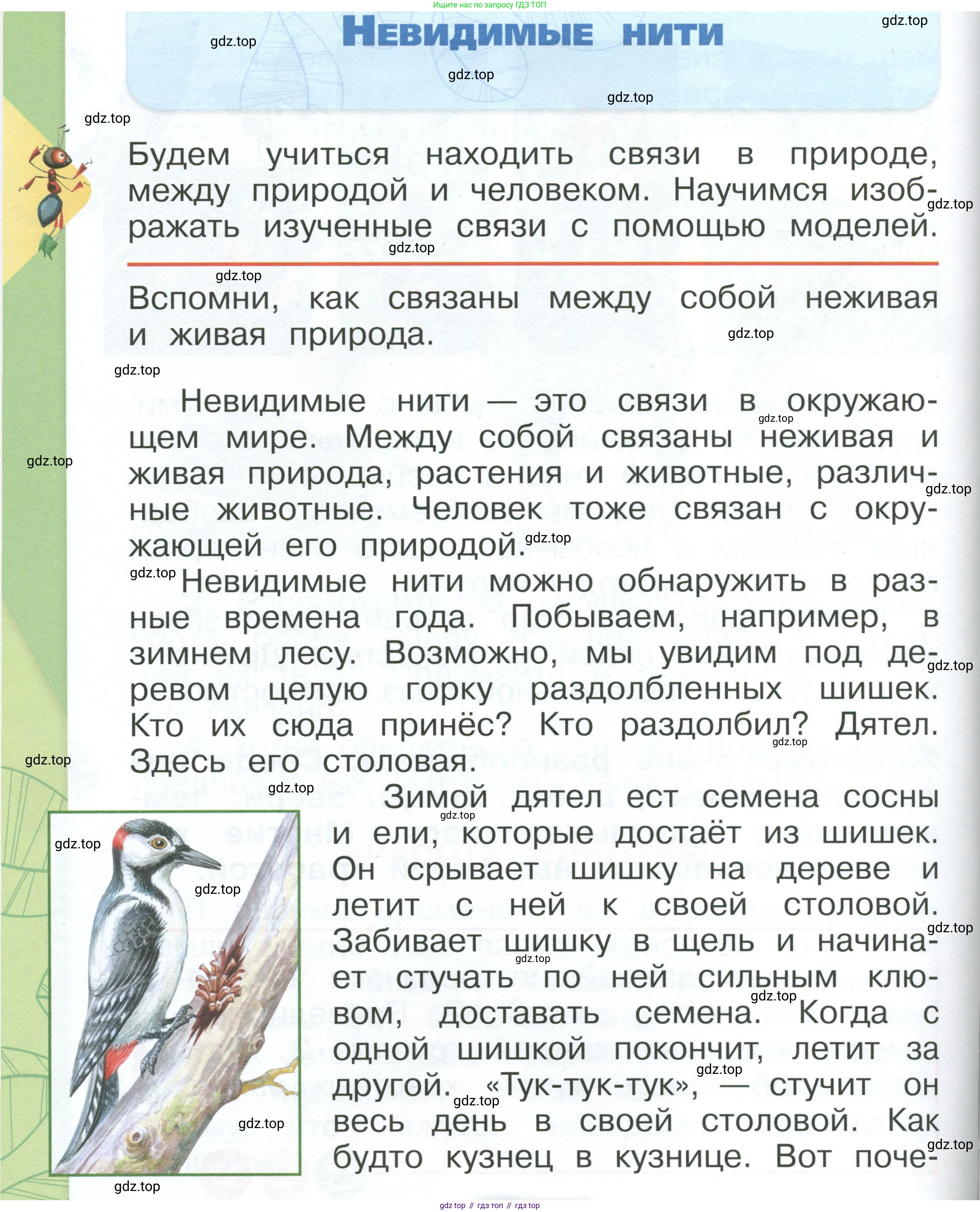 ГДЗ Окружающий мир, 1 класс Учебник, автор: Плешаков Андрей Анатольевич, издательство Просвещение, Москва, 2022, белого цвета, Часть 1, страница 114, Условие