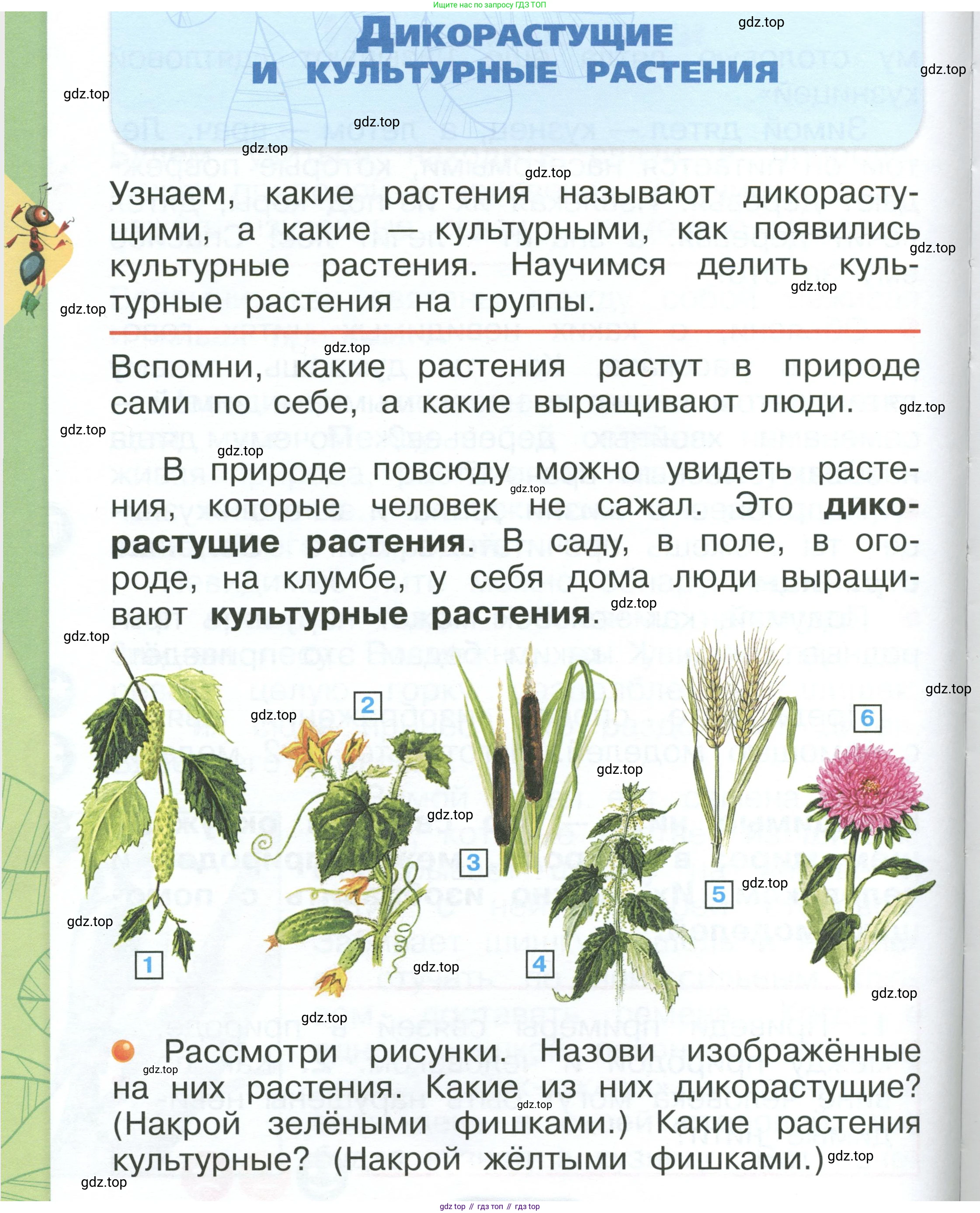 ГДЗ Окружающий мир, 1 класс Учебник, автор: Плешаков Андрей Анатольевич, издательство Просвещение, Москва, 2022, белого цвета, Часть 1, страница 116, Условие