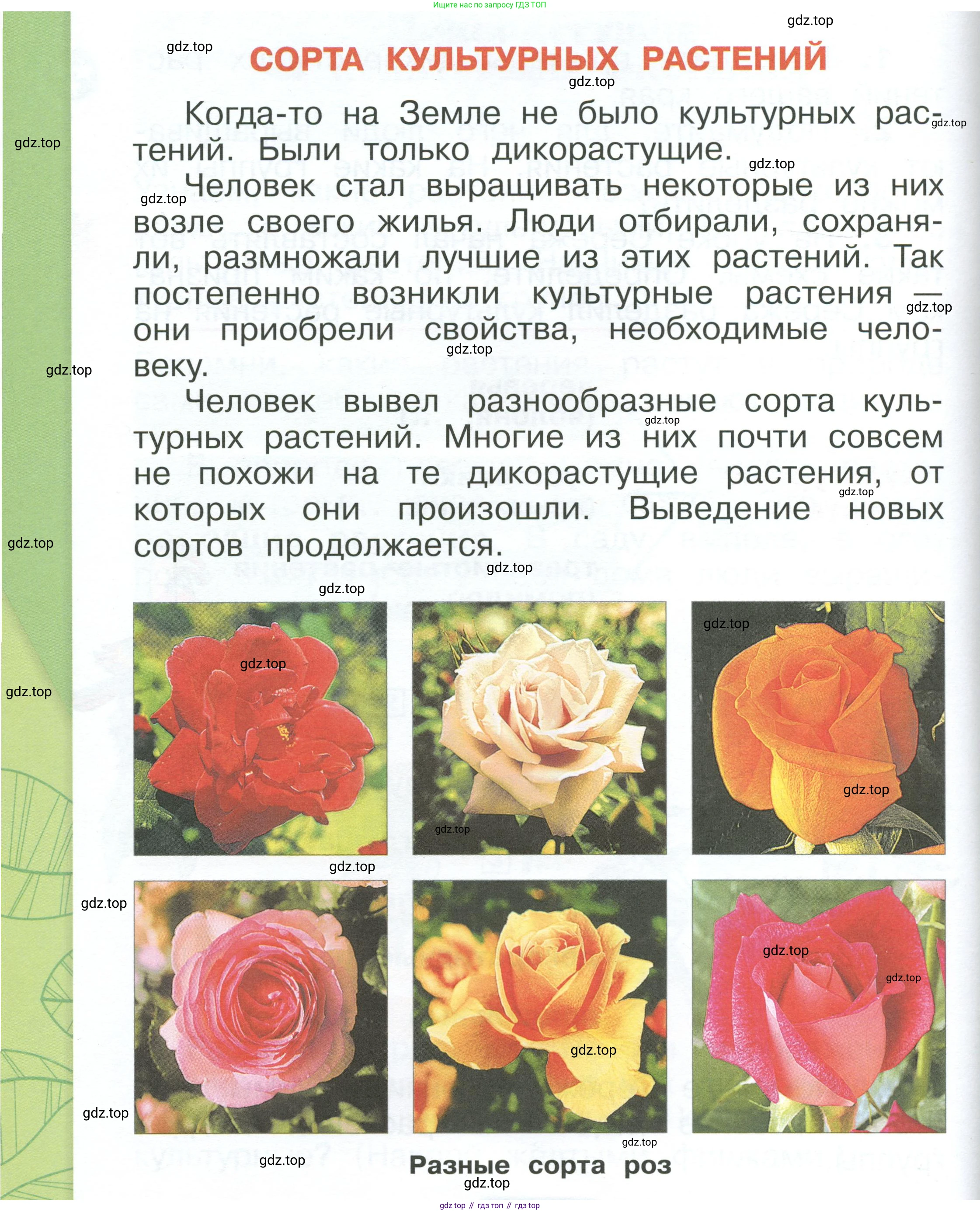 ГДЗ Окружающий мир, 1 класс Учебник, автор: Плешаков Андрей Анатольевич, издательство Просвещение, Москва, 2022, белого цвета, Часть 1, страница 118, Условие