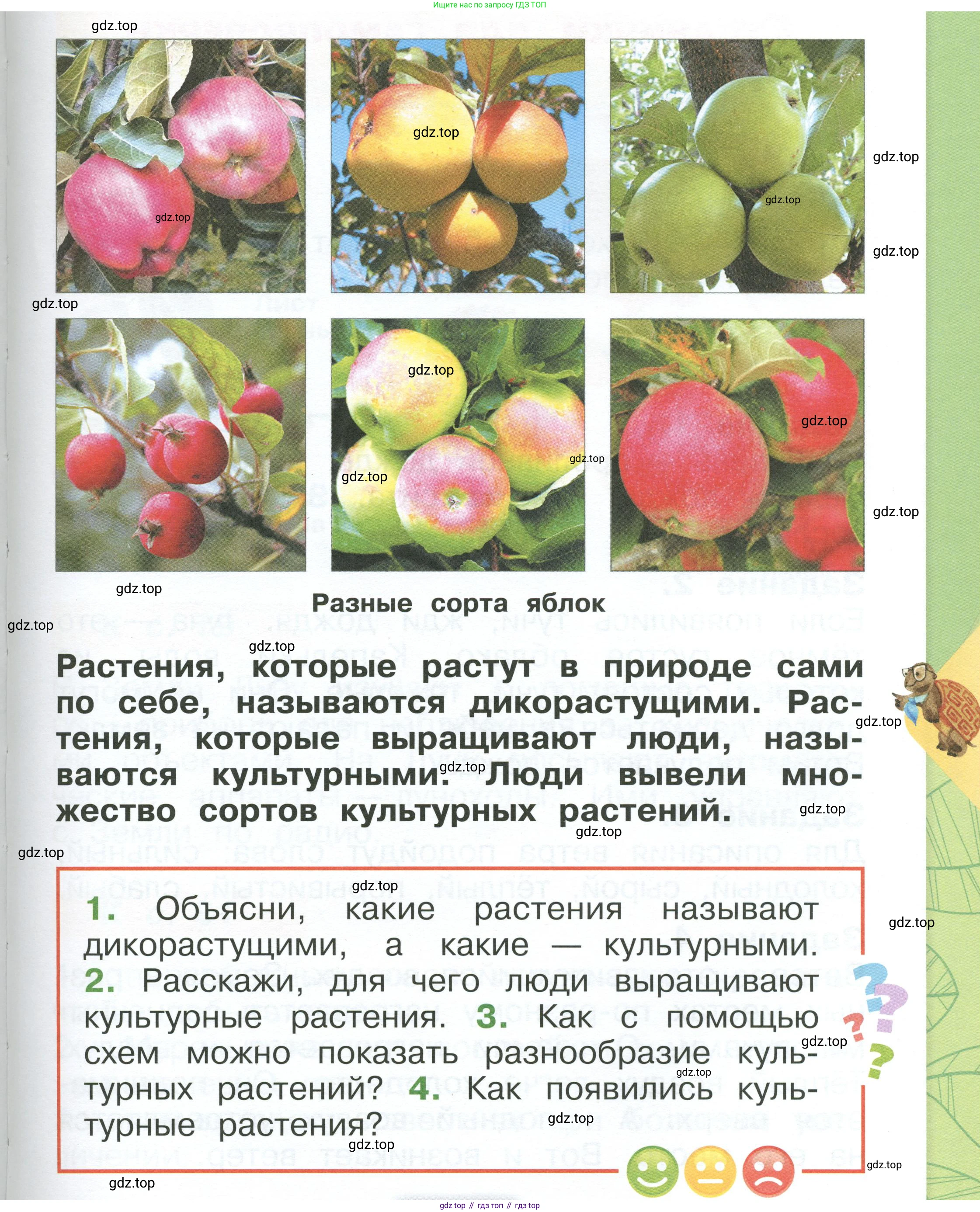 ГДЗ Окружающий мир, 1 класс Учебник, автор: Плешаков Андрей Анатольевич, издательство Просвещение, Москва, 2022, белого цвета, Часть 1, страница 119, Условие
