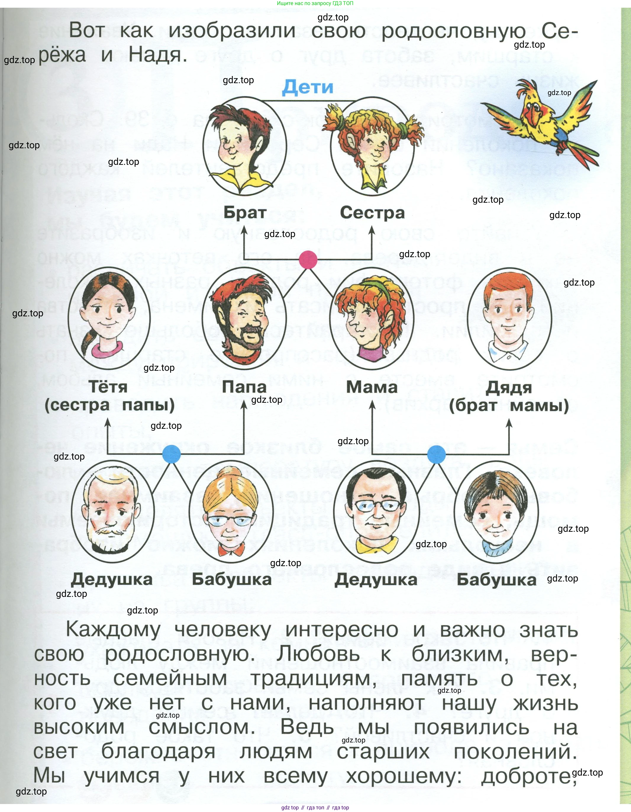 ГДЗ Окружающий мир, 1 класс Учебник, автор: Плешаков Андрей Анатольевич, издательство Просвещение, Москва, 2022, белого цвета, Часть 1, страница 39, Условие