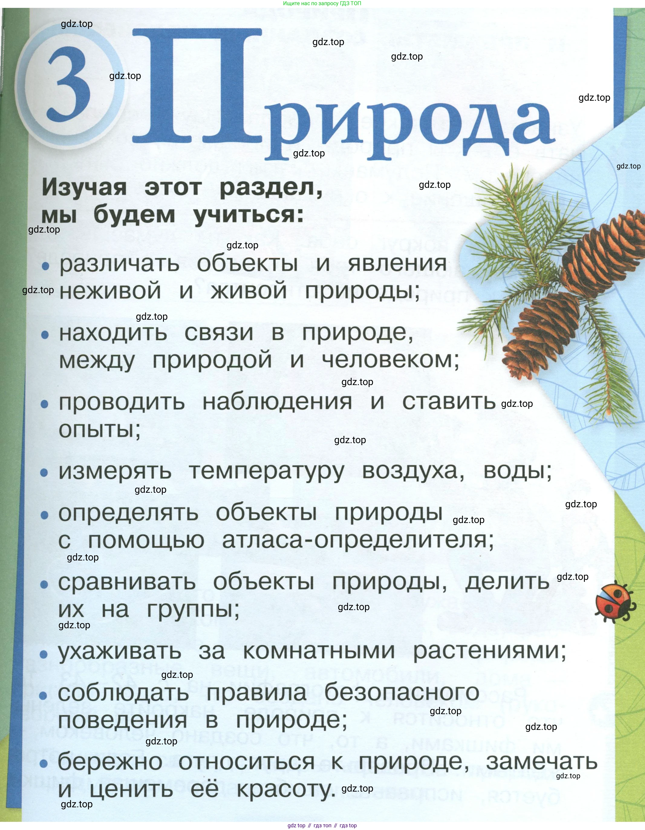 ГДЗ Окружающий мир, 1 класс Учебник, автор: Плешаков Андрей Анатольевич, издательство Просвещение, Москва, 2022, белого цвета, Часть 1, страница 41, Условие