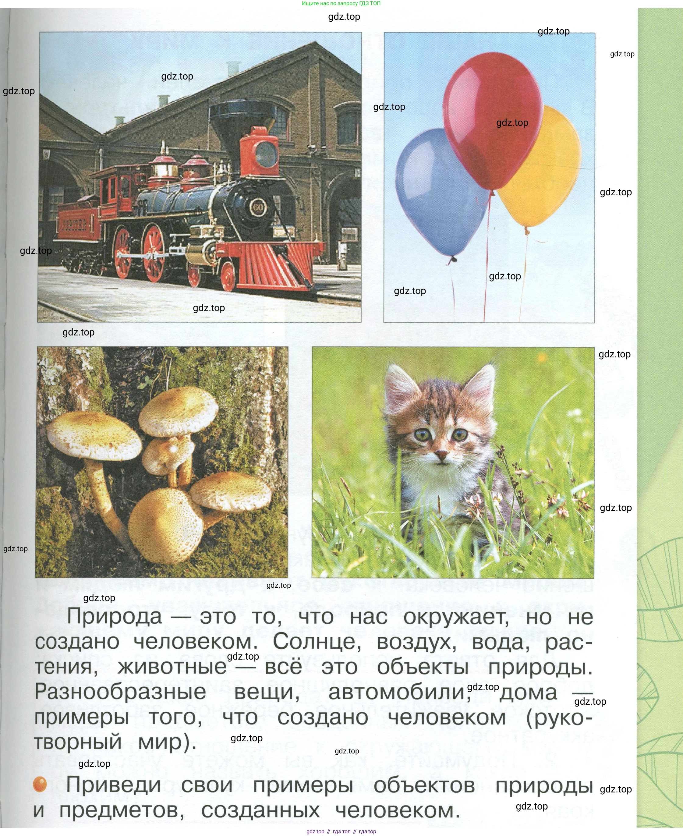 ГДЗ Окружающий мир, 1 класс Учебник, автор: Плешаков Андрей Анатольевич, издательство Просвещение, Москва, 2022, белого цвета, Часть 1, страница 43, Условие