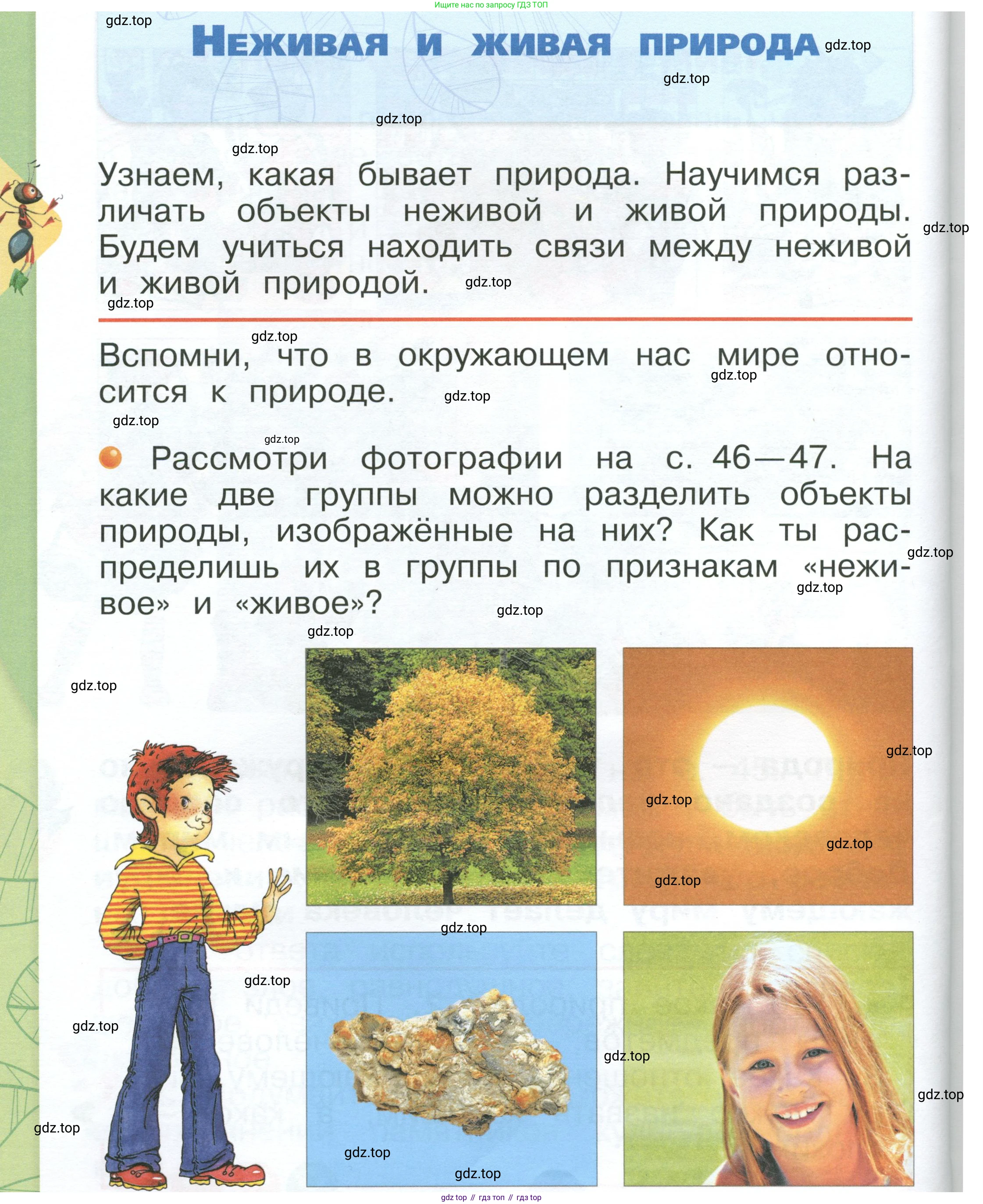 ГДЗ Окружающий мир, 1 класс Учебник, автор: Плешаков Андрей Анатольевич, издательство Просвещение, Москва, 2022, белого цвета, Часть 1, страница 46, Условие