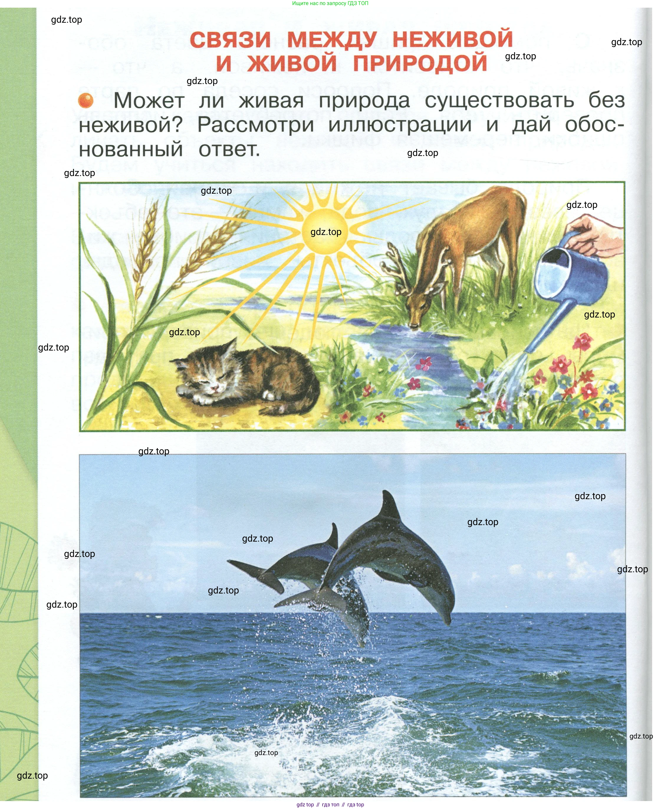 ГДЗ Окружающий мир, 1 класс Учебник, автор: Плешаков Андрей Анатольевич, издательство Просвещение, Москва, 2022, белого цвета, Часть 1, страница 48, Условие