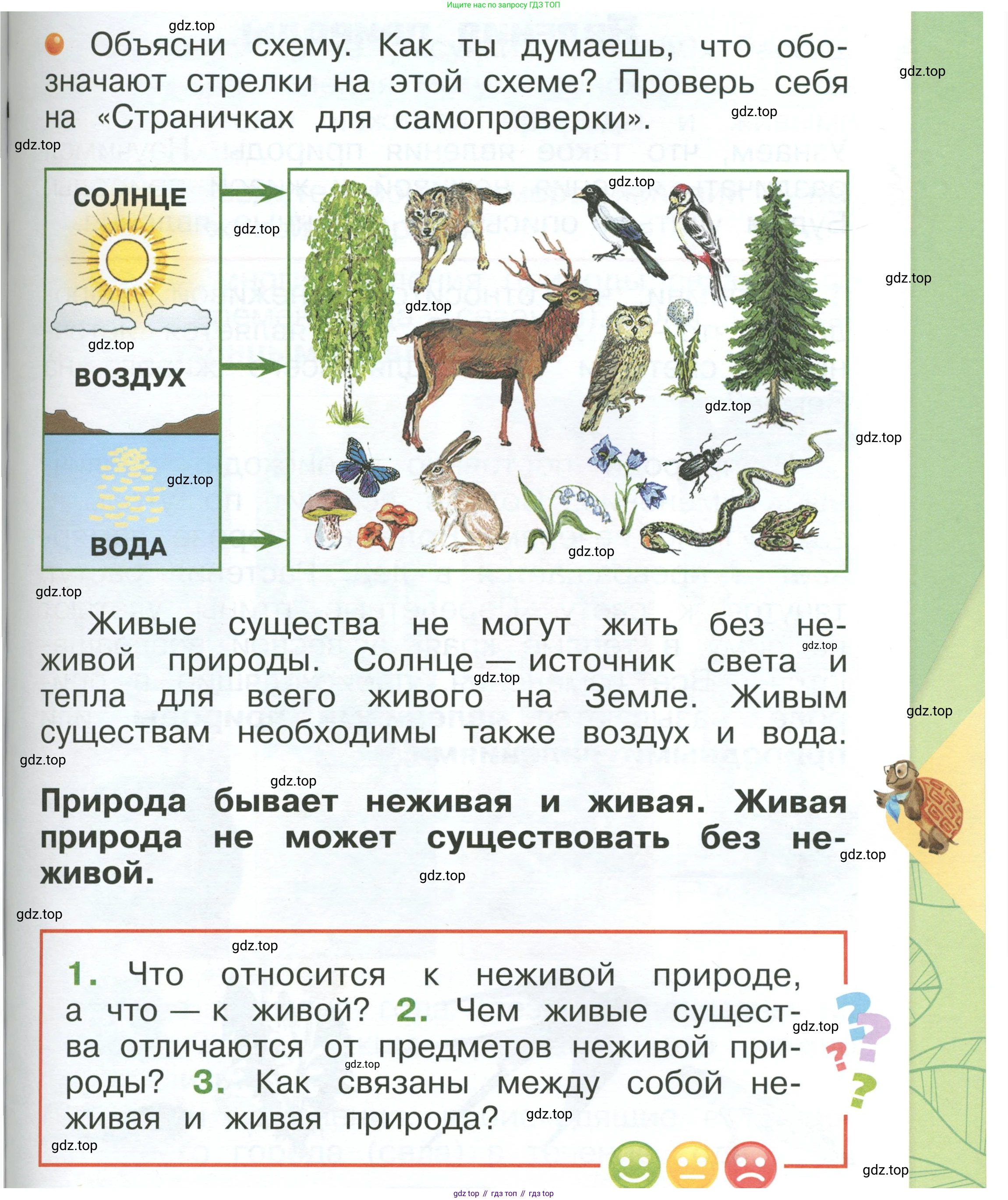 ГДЗ Окружающий мир, 1 класс Учебник, автор: Плешаков Андрей Анатольевич, издательство Просвещение, Москва, 2022, белого цвета, Часть 1, страница 49, Условие