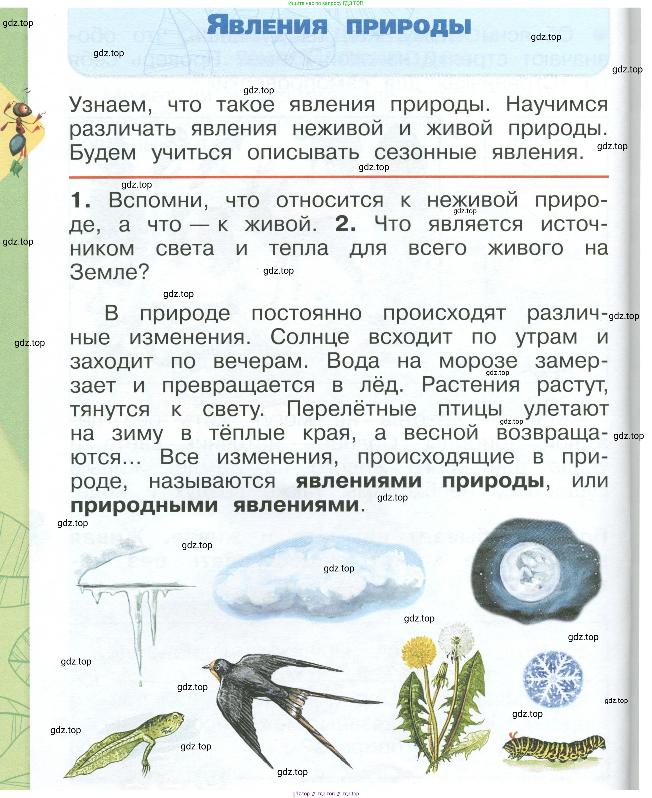 ГДЗ Окружающий мир, 1 класс Учебник, автор: Плешаков Андрей Анатольевич, издательство Просвещение, Москва, 2022, белого цвета, Часть 1, страница 50, Условие