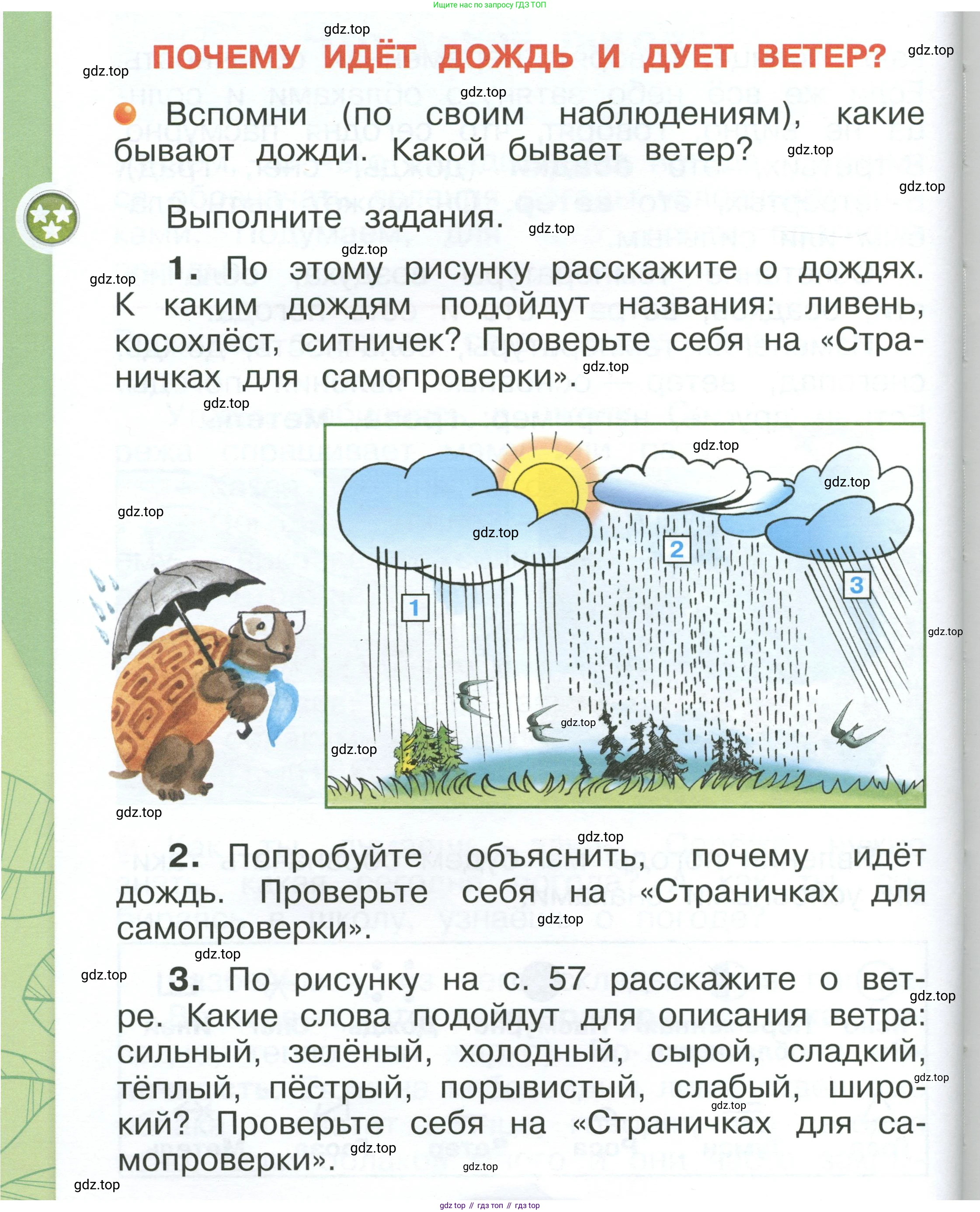ГДЗ Окружающий мир, 1 класс Учебник, автор: Плешаков Андрей Анатольевич, издательство Просвещение, Москва, 2022, белого цвета, Часть 1, страница 56, Условие
