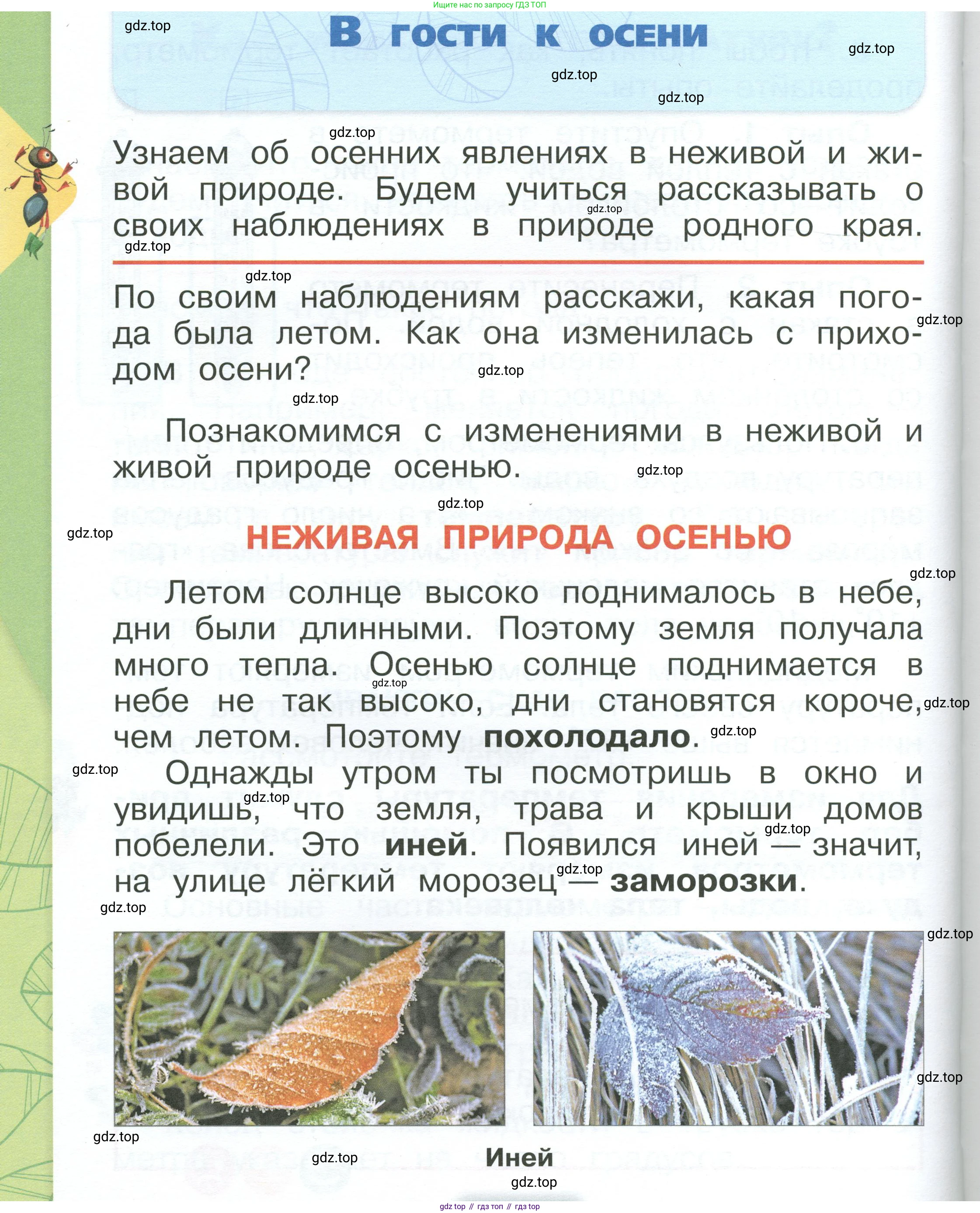 ГДЗ Окружающий мир, 1 класс Учебник, автор: Плешаков Андрей Анатольевич, издательство Просвещение, Москва, 2022, белого цвета, Часть 1, страница 62, Условие